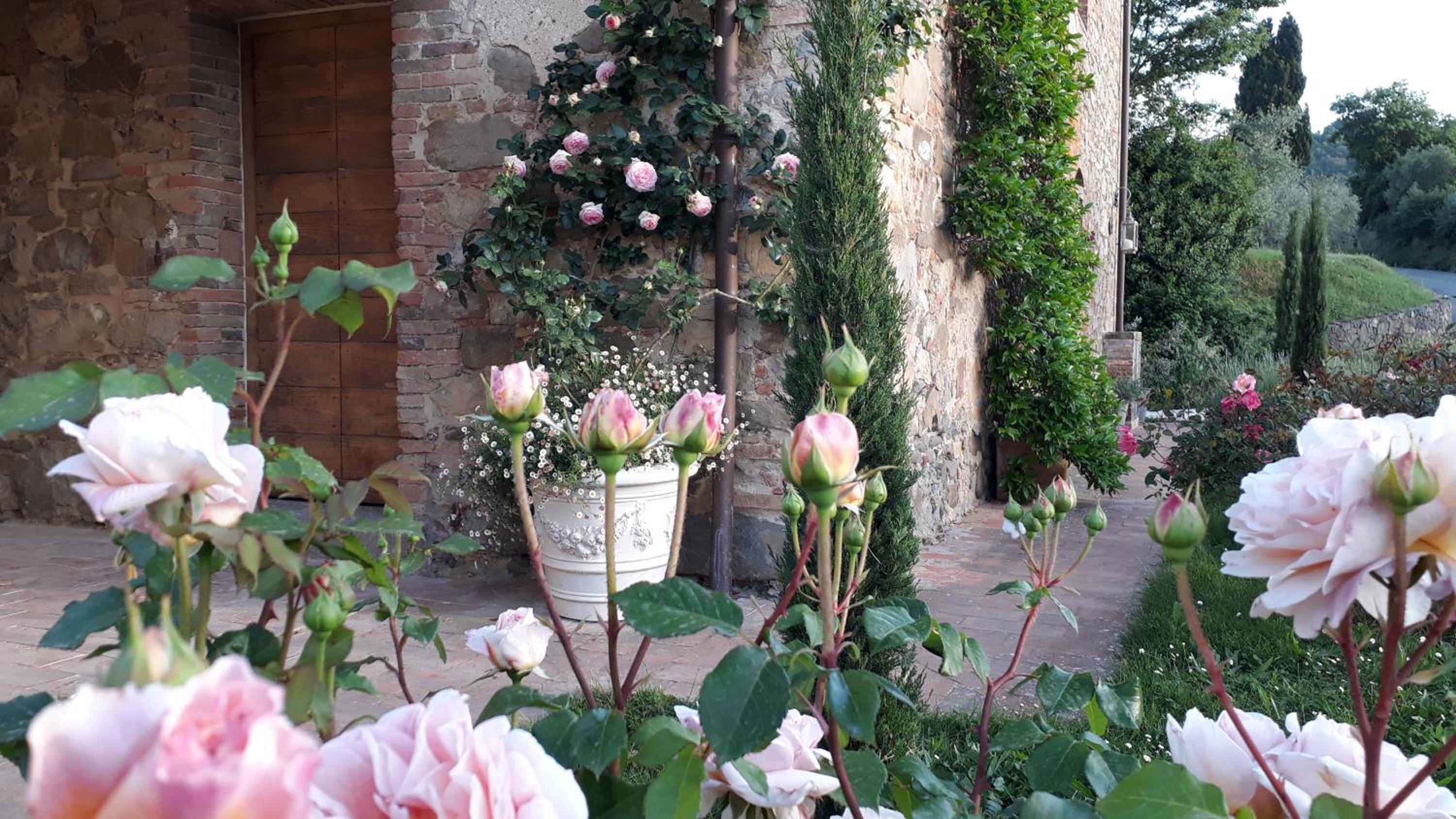 Podere Pievina Delle Corti - Dimora di Campagna
