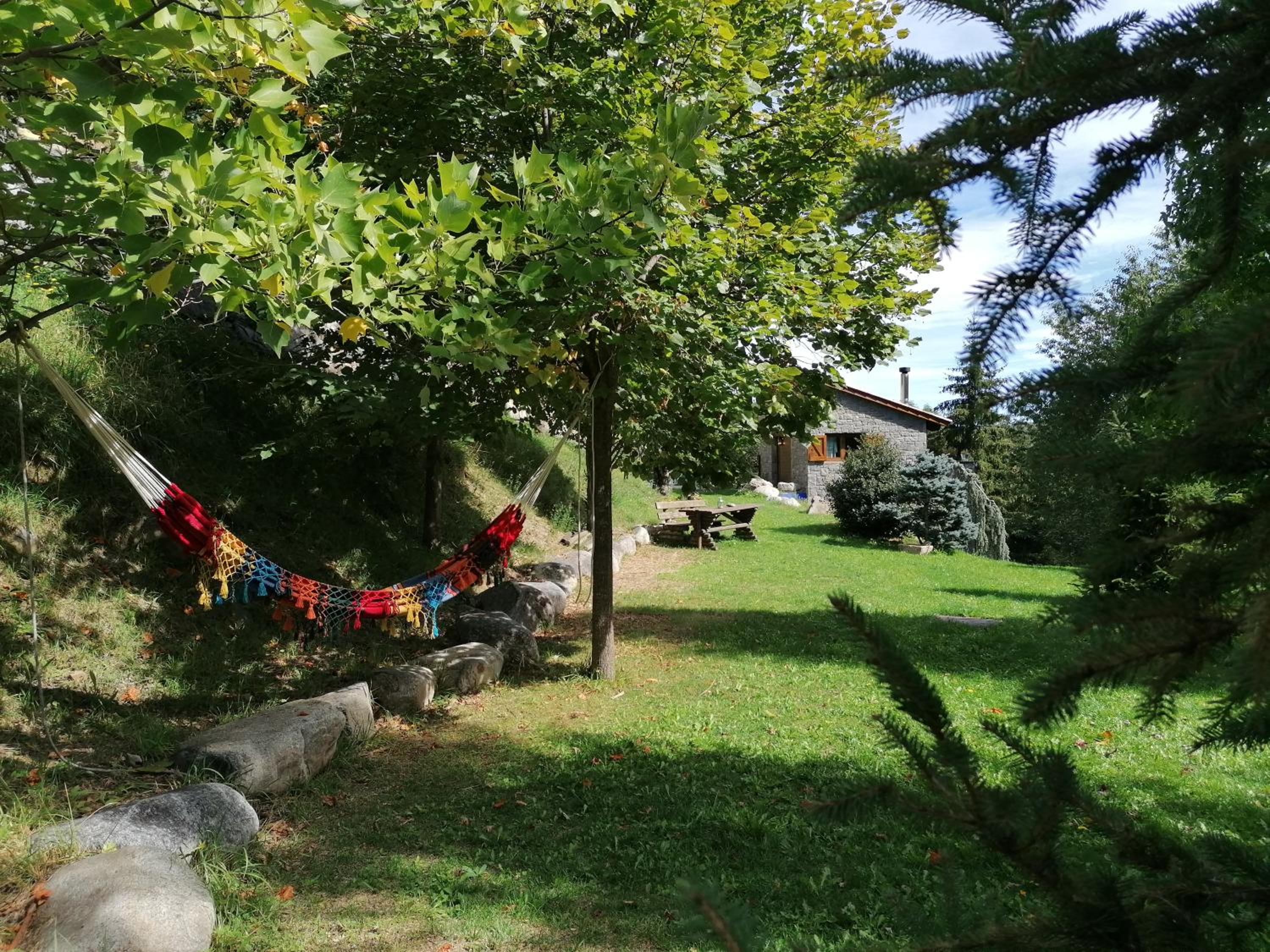 Photo 31