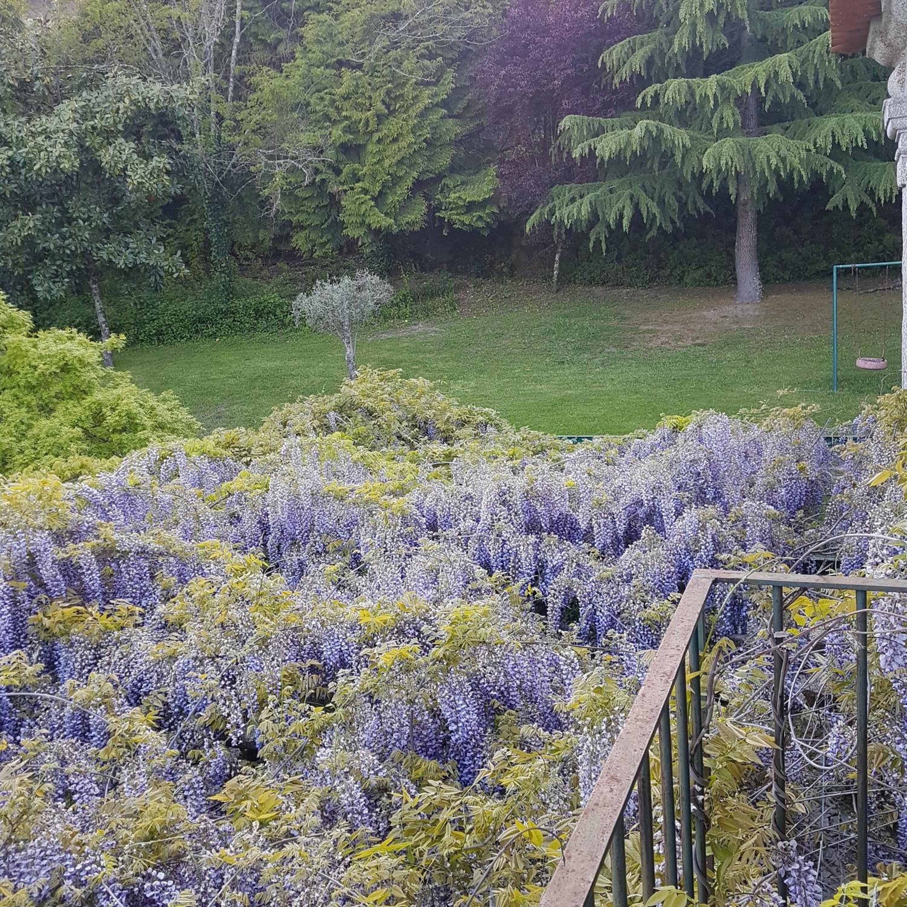 Casa da Arosa view 5