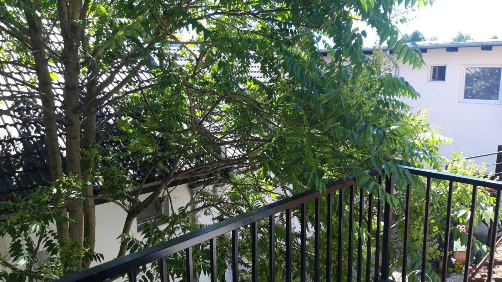 Apartment Eurho view 5