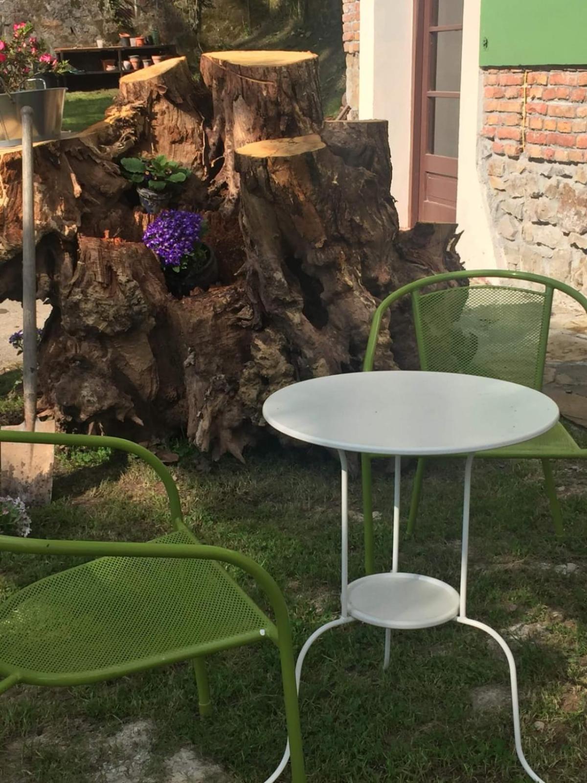 children's play area