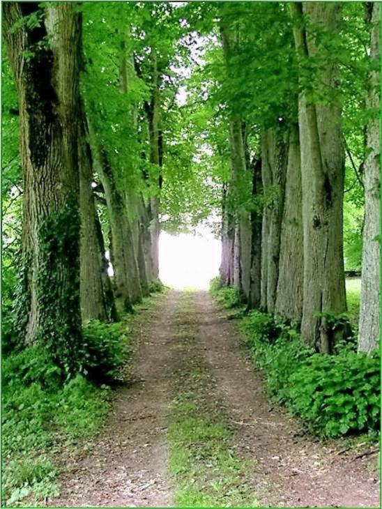 Chateau de Moison, Domaine Eco Nature