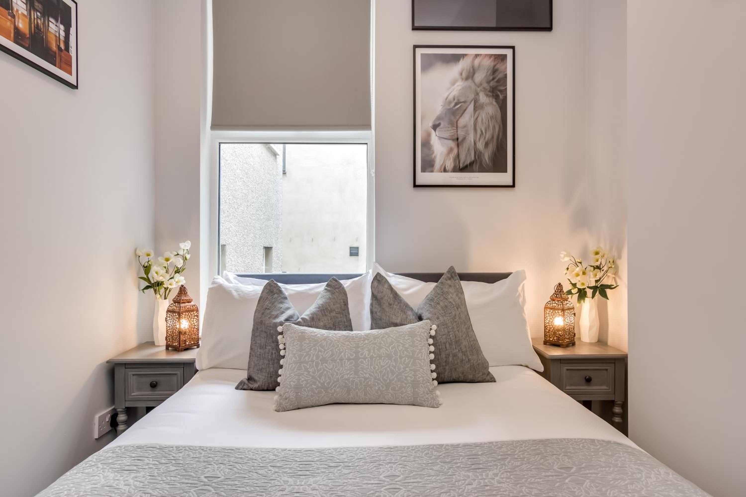 Belfast Vacations - Wellington Park Boutique Apartments - Property Image 3