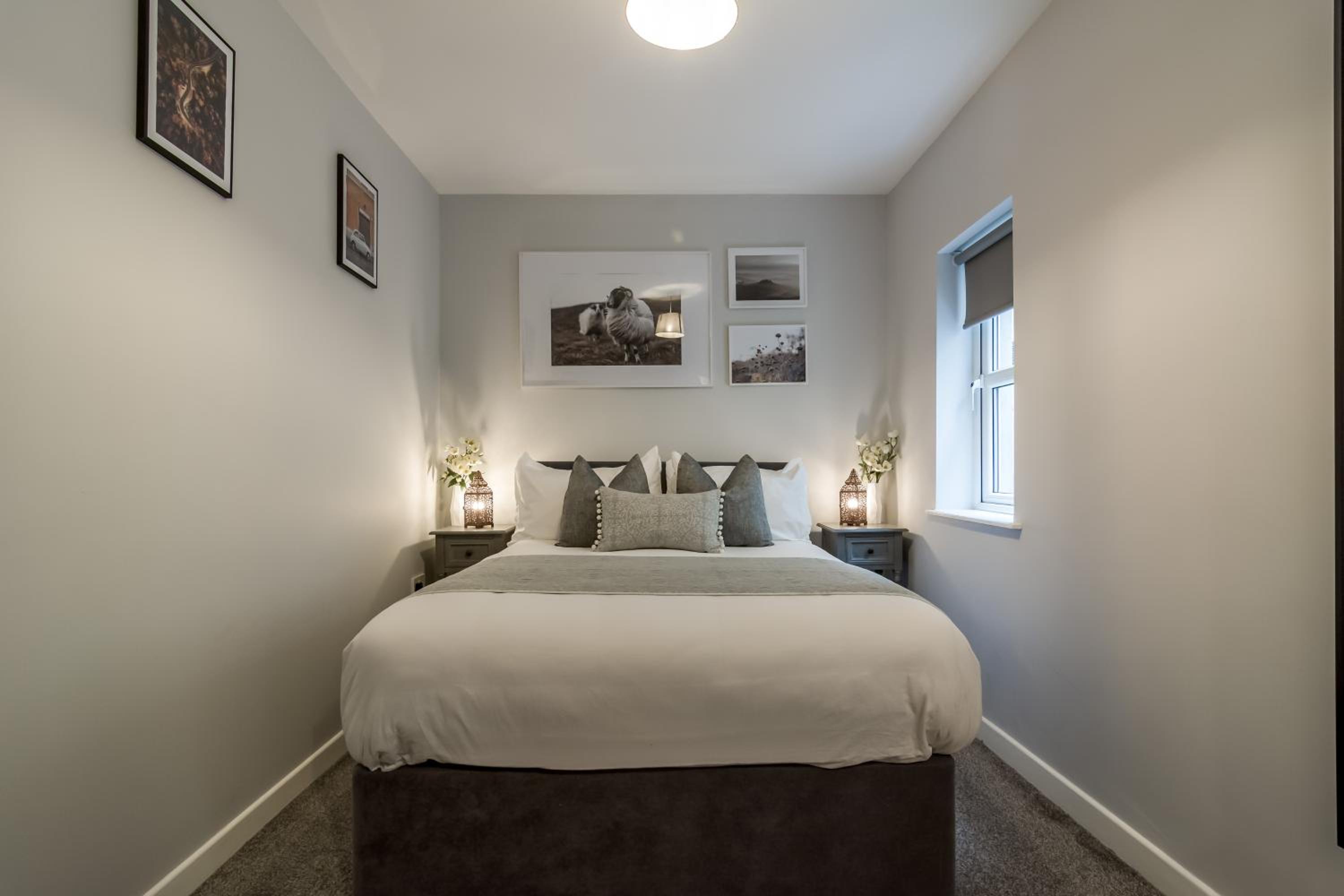 Belfast Vacations - Wellington Park Boutique Apartments - Property Image 11