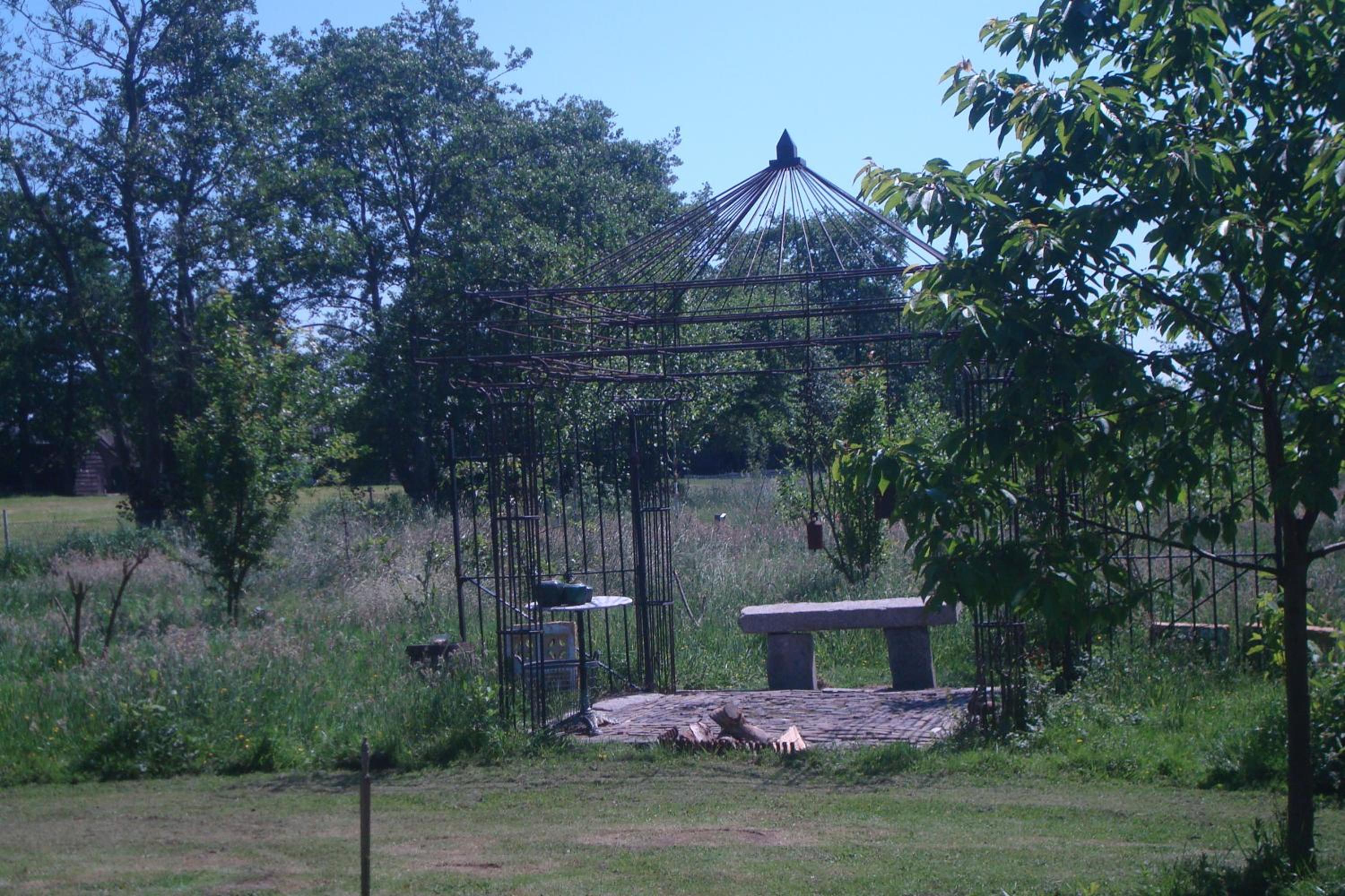 Photo 15