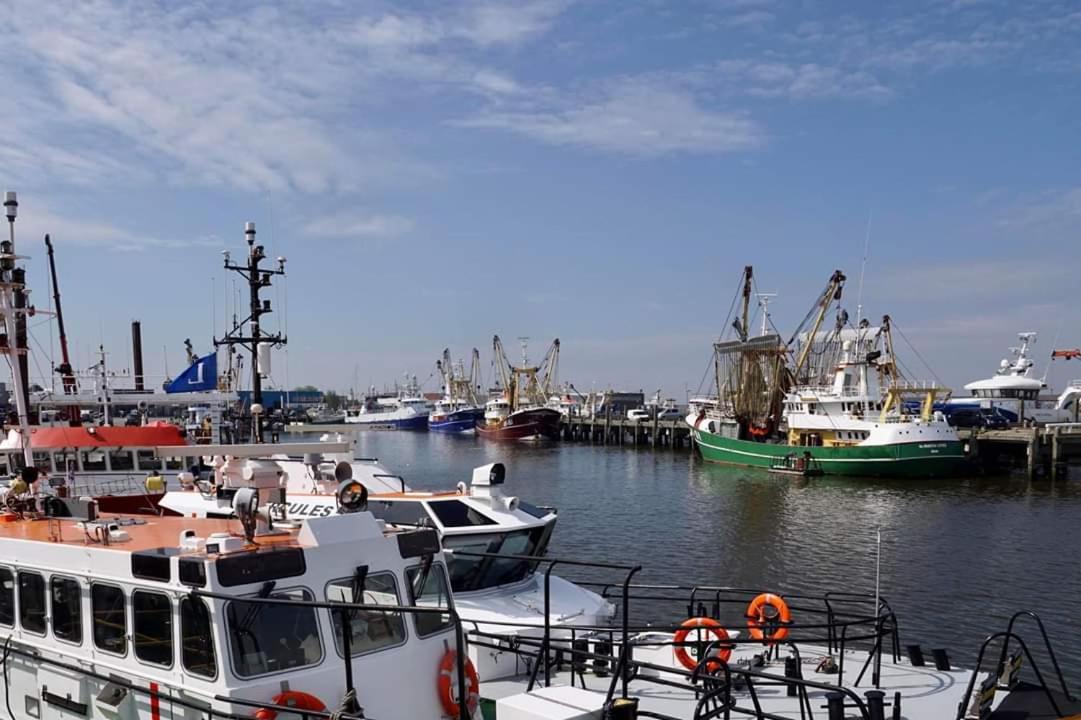 Cosy Harlingen I view 4