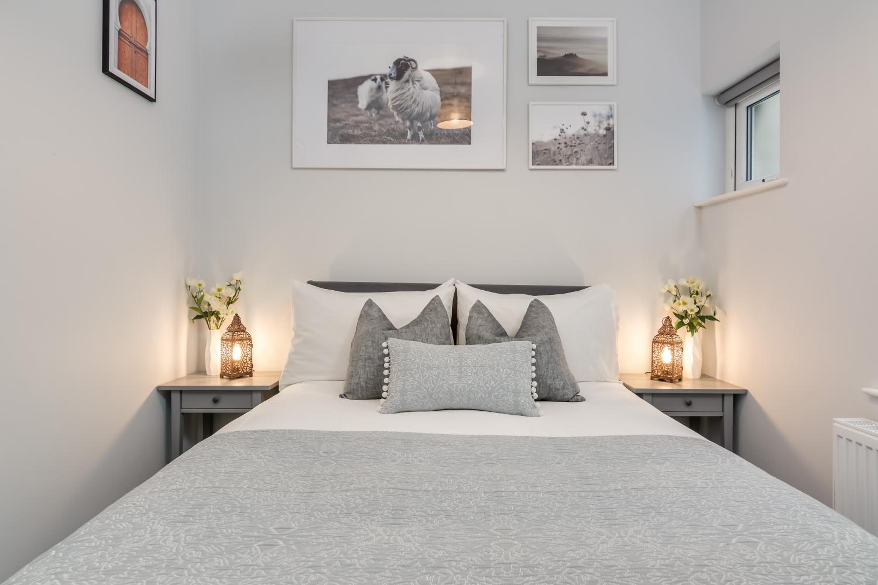 Belfast Vacations - Wellington Park Boutique Apartments - Property Image 12