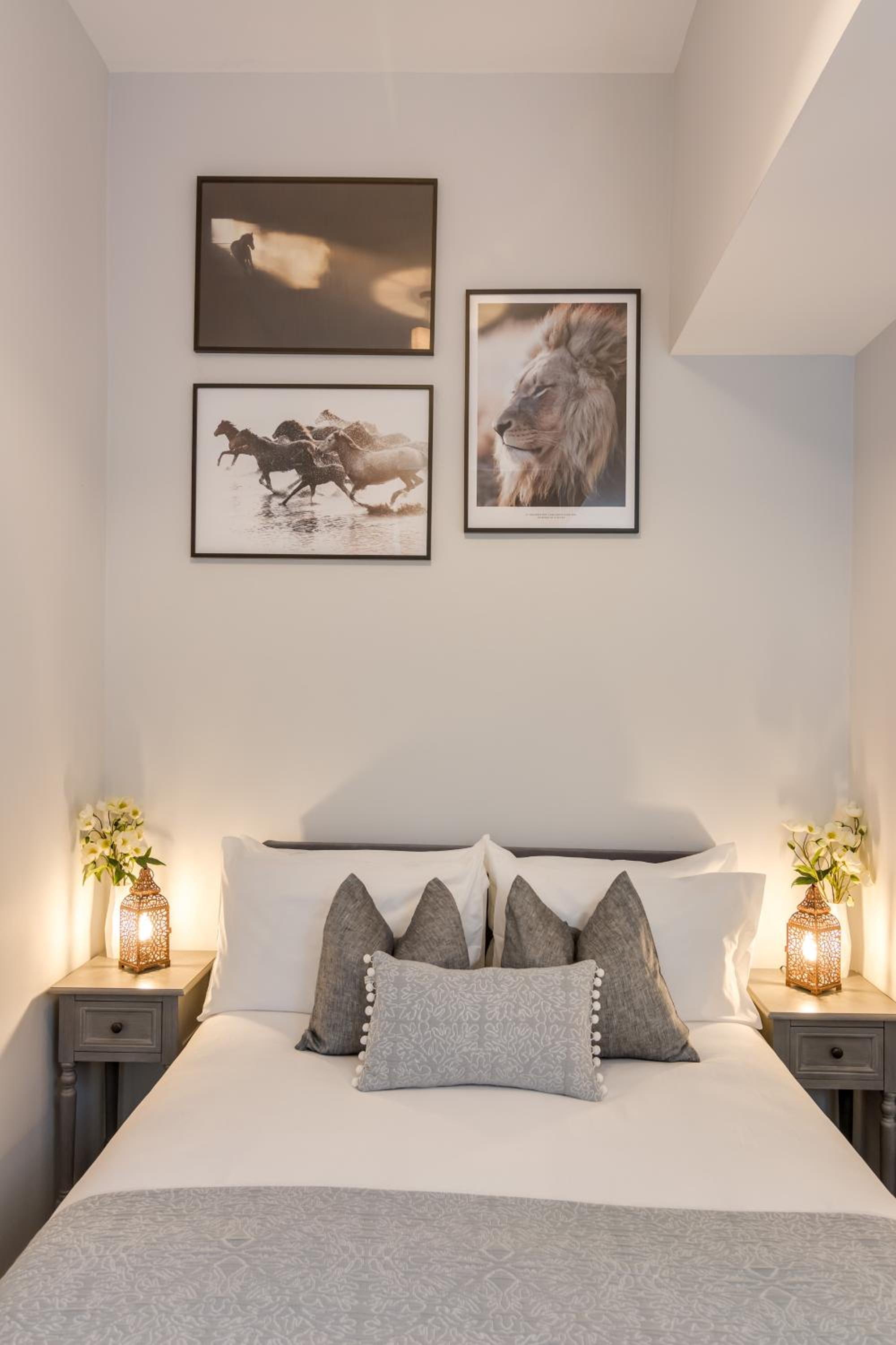 Belfast Vacations - Wellington Park Boutique Apartments - Property Image 41