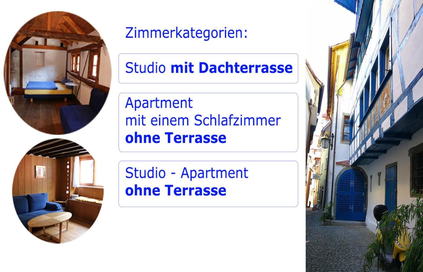 Bio-Ferienwohnung Ellensohn view 3