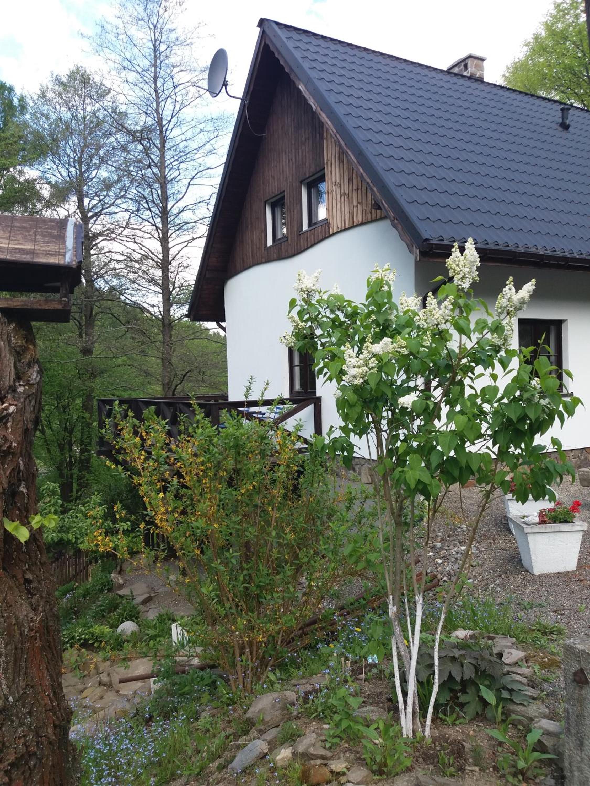 Photo 29