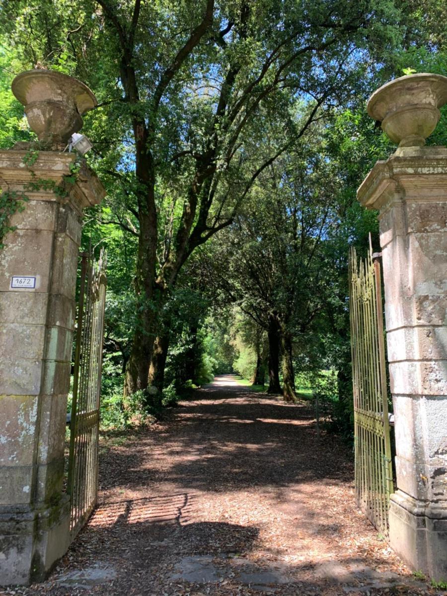 Il Casale Di Villa Rossi view 3
