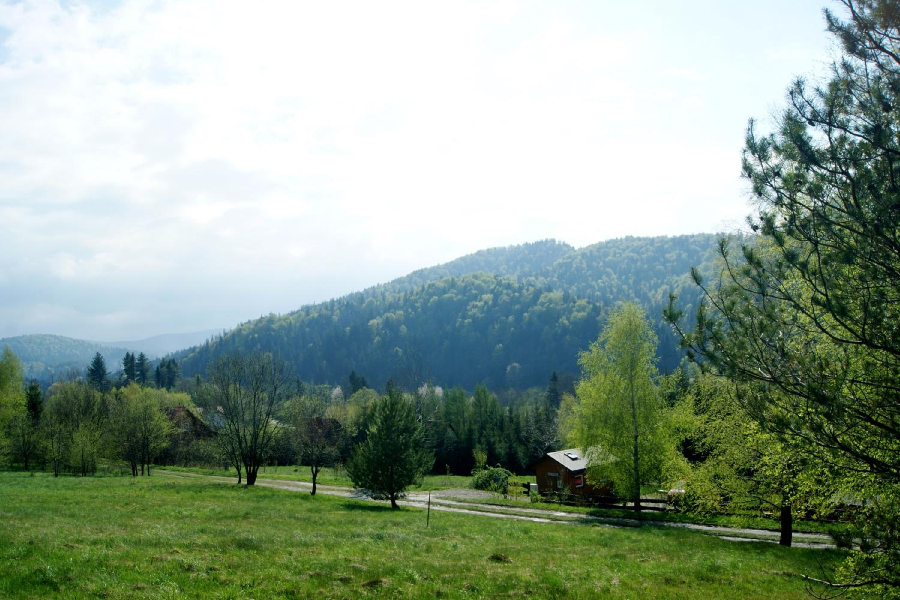 Photo 36