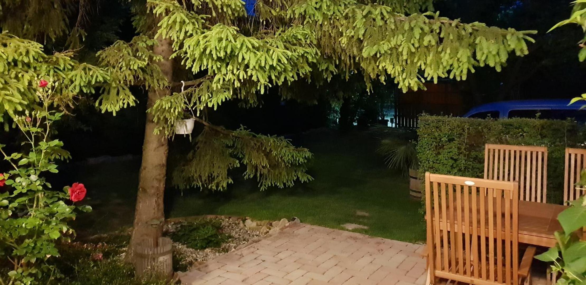 Photo 26