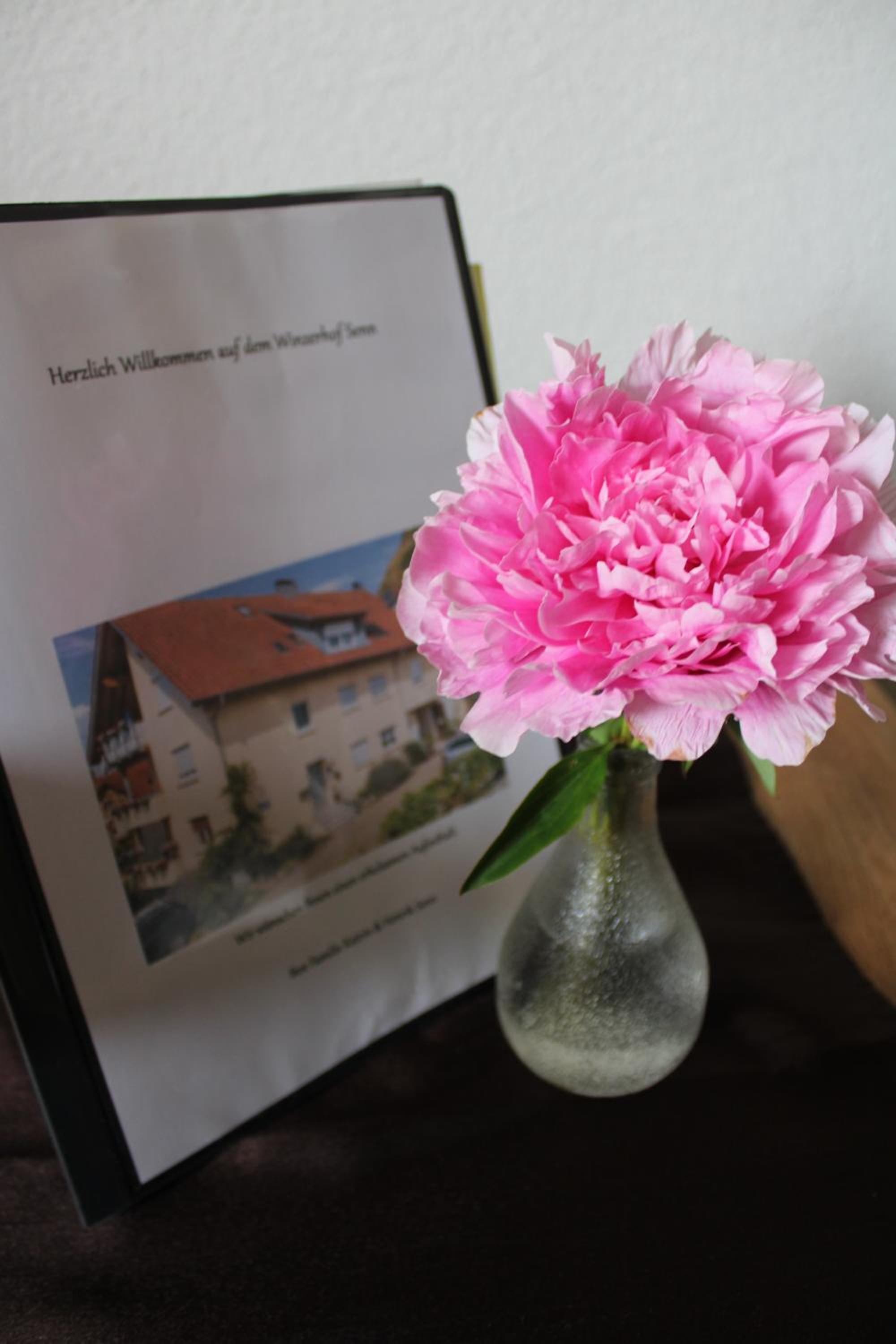 Winzerhof Senn, photo 31
