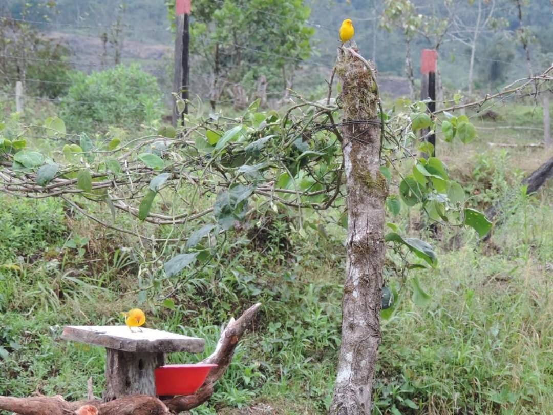 Hostal de la montaña ecoturismo