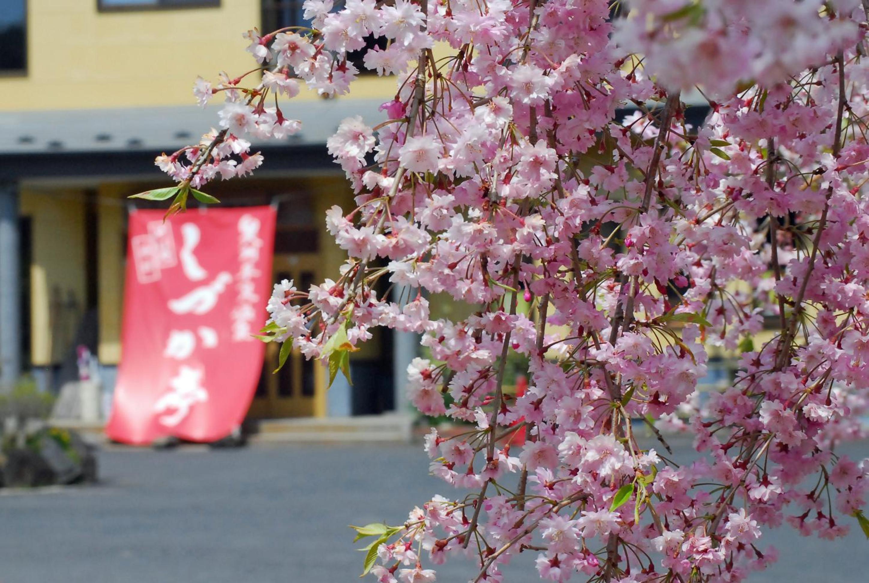 Shizukatei