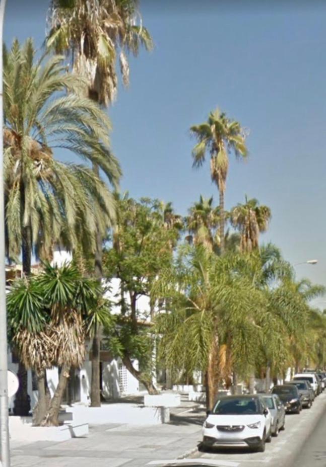 Luxury Carihuela Beach