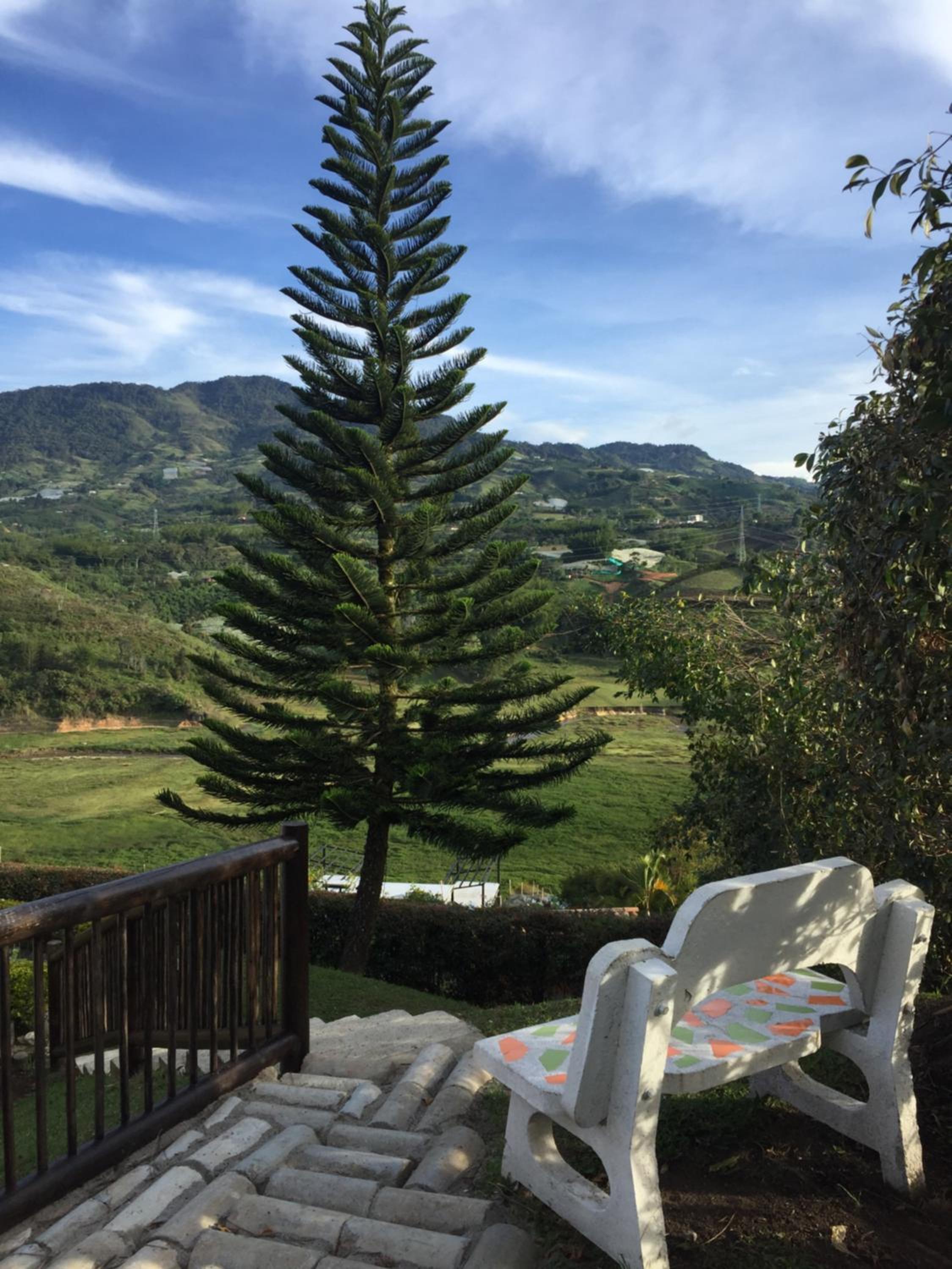 CASA CAMPESTRE MONTECARLO Guatapé- desayuno a pareja
