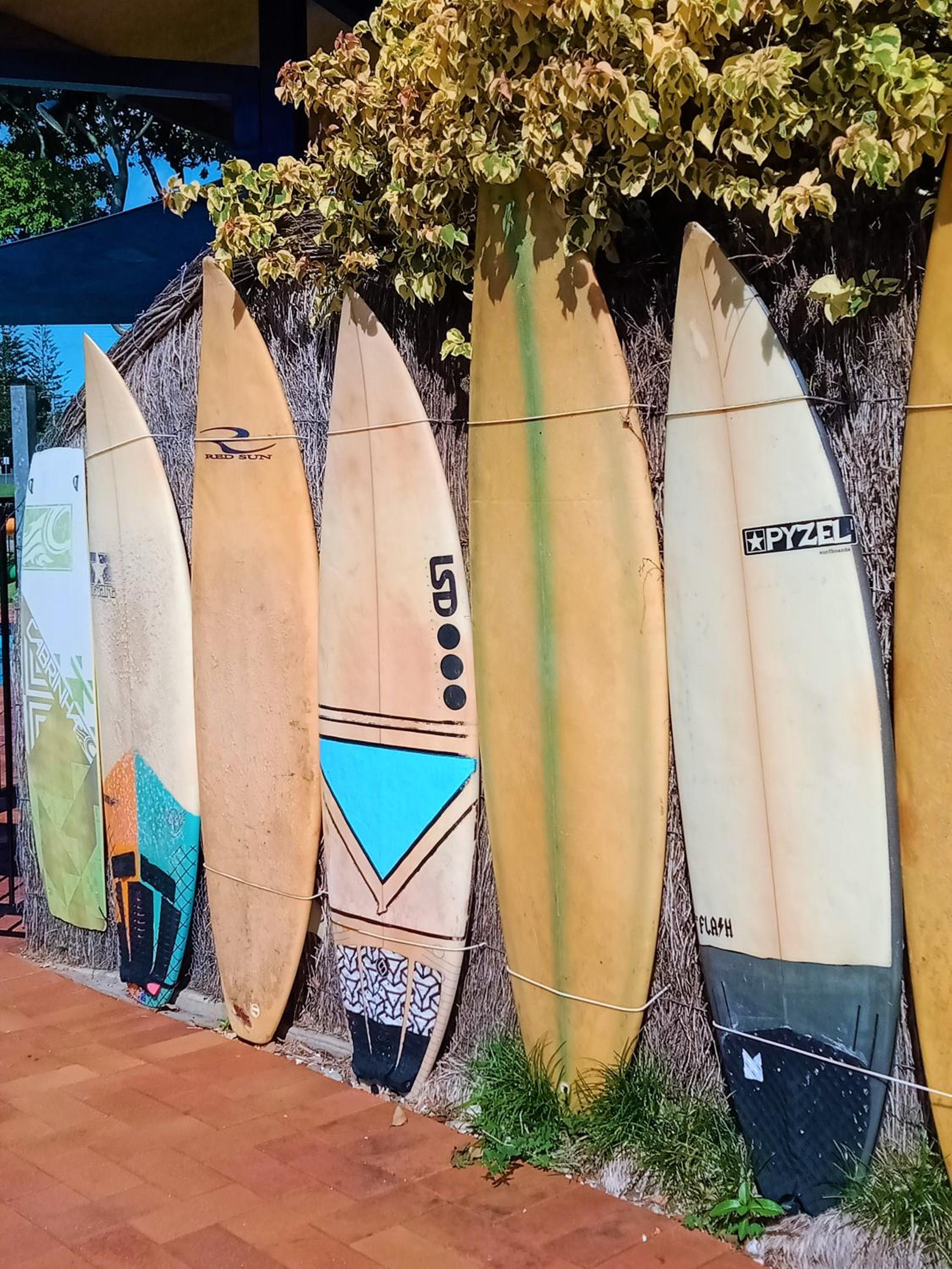 The Carmel Yamba