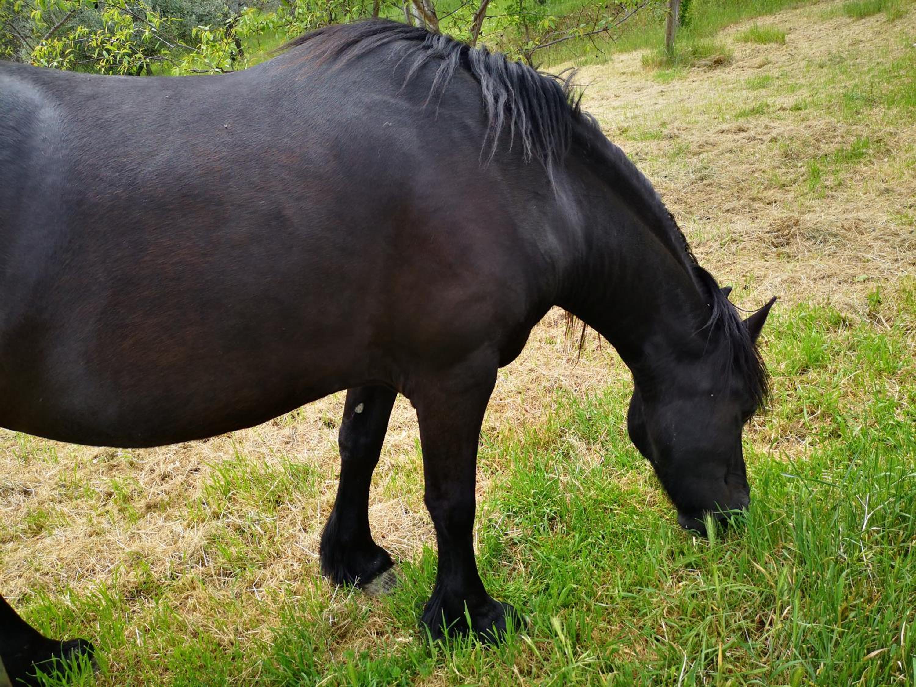 Agriturismo Olimpo