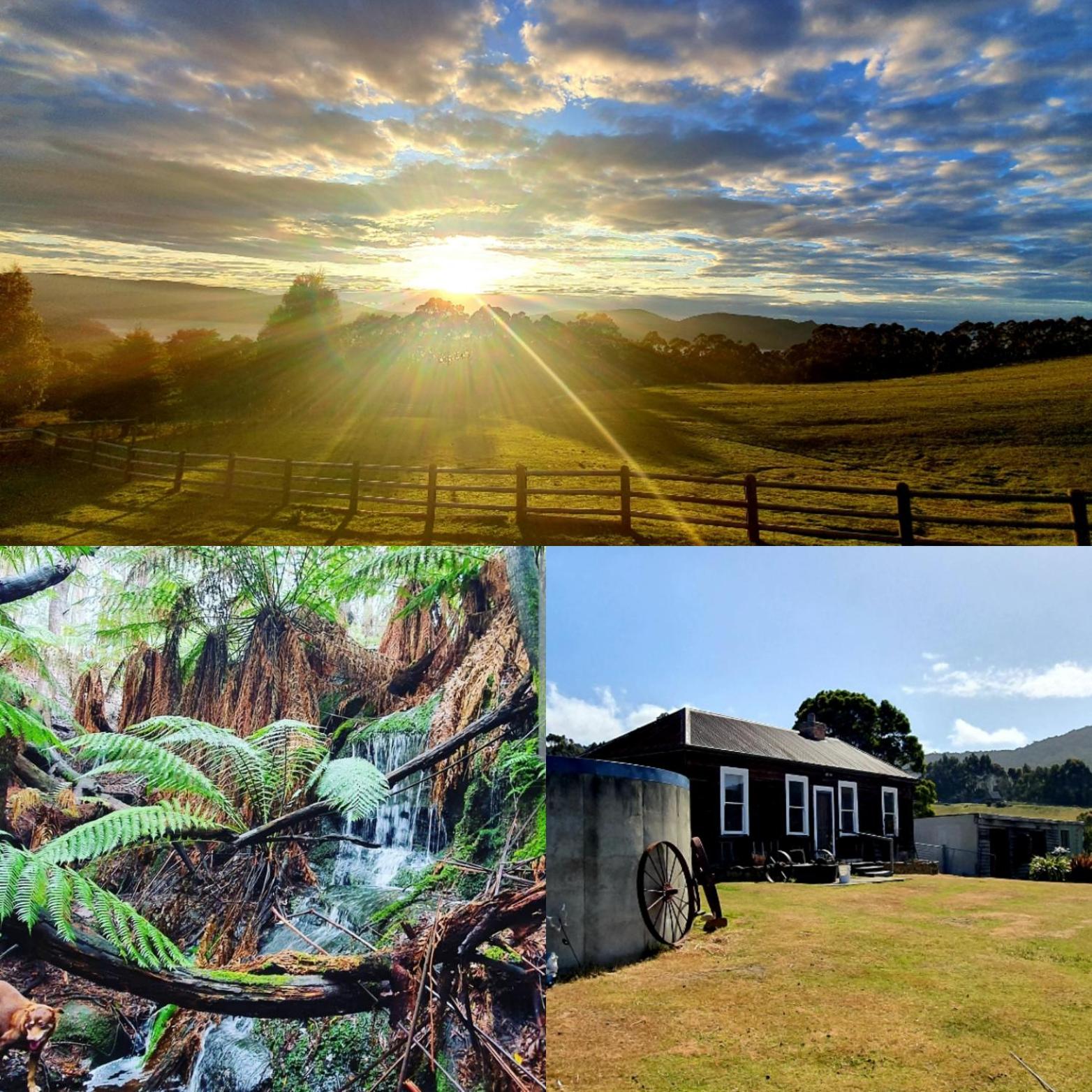 Ruby's Cottage Farm Stay