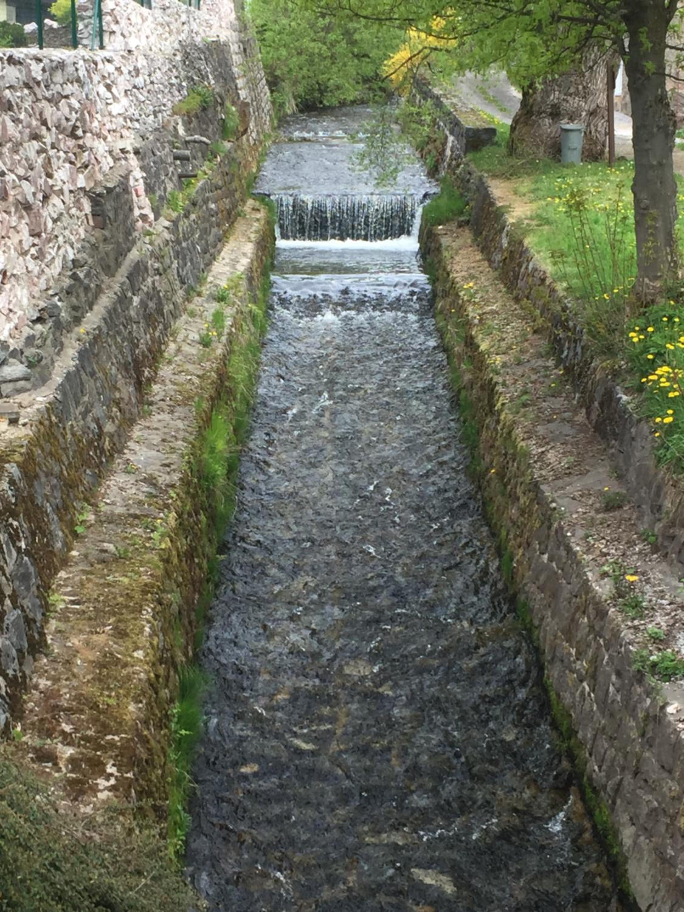 Photo 34