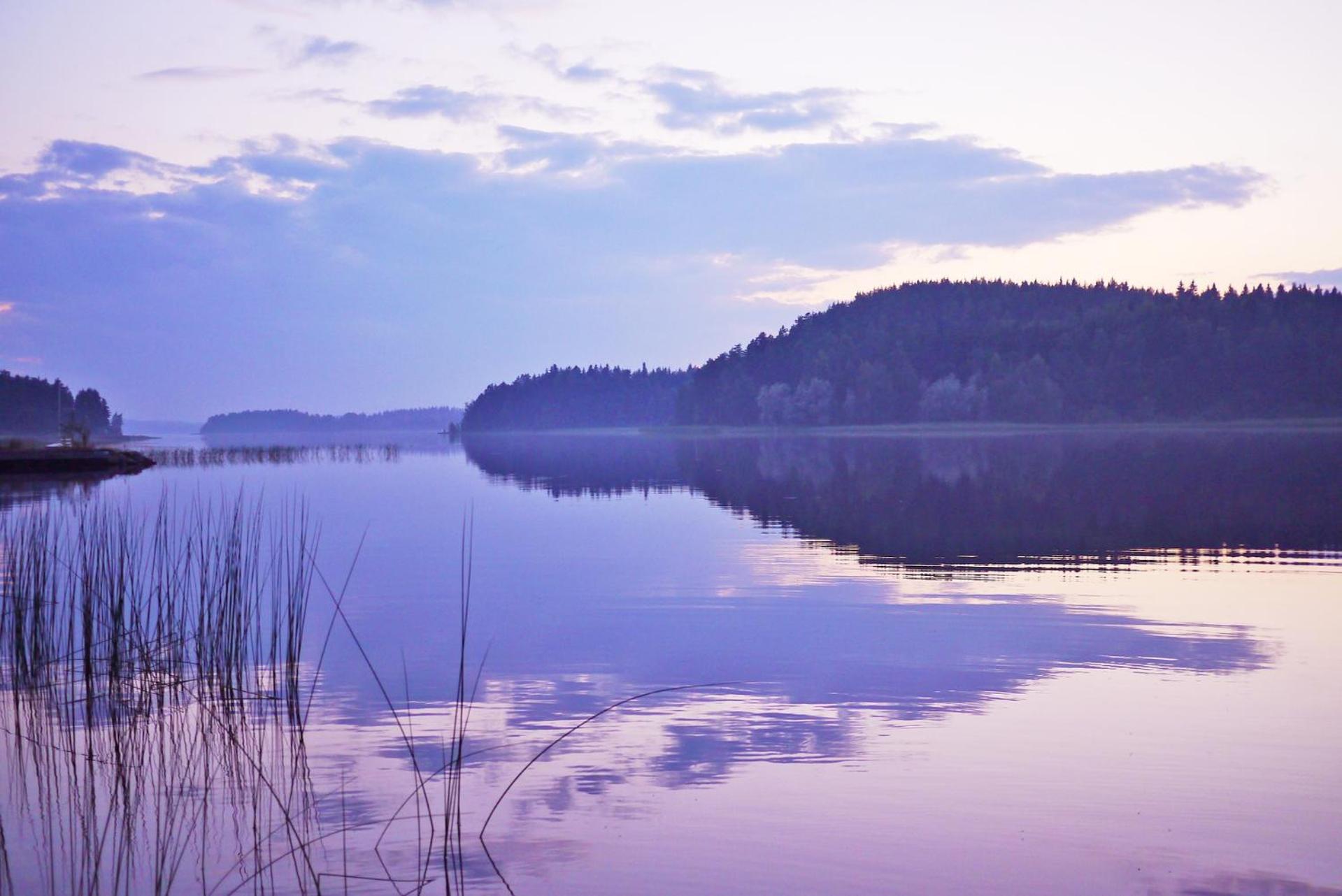 Photo 103
