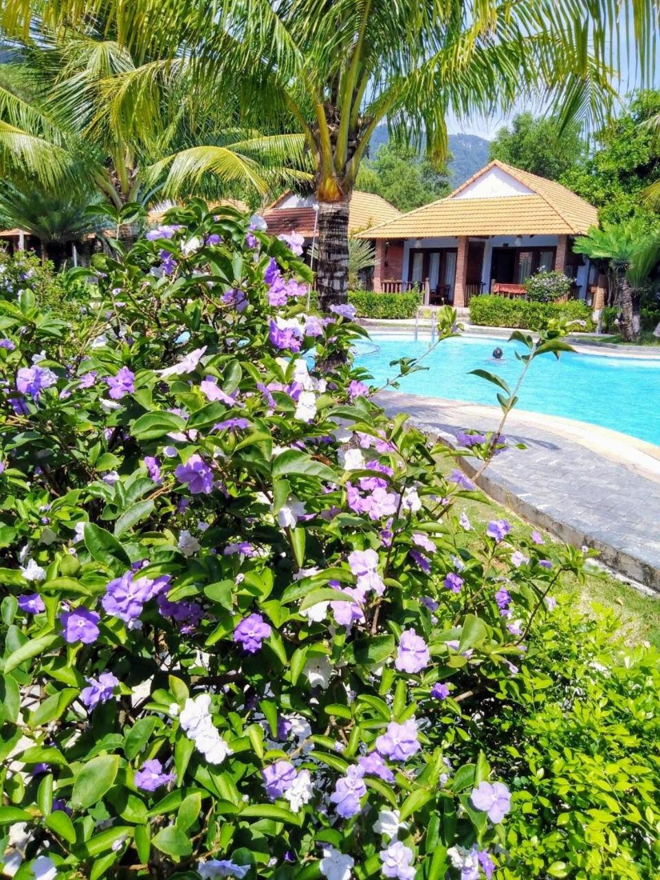 Wildland Resort