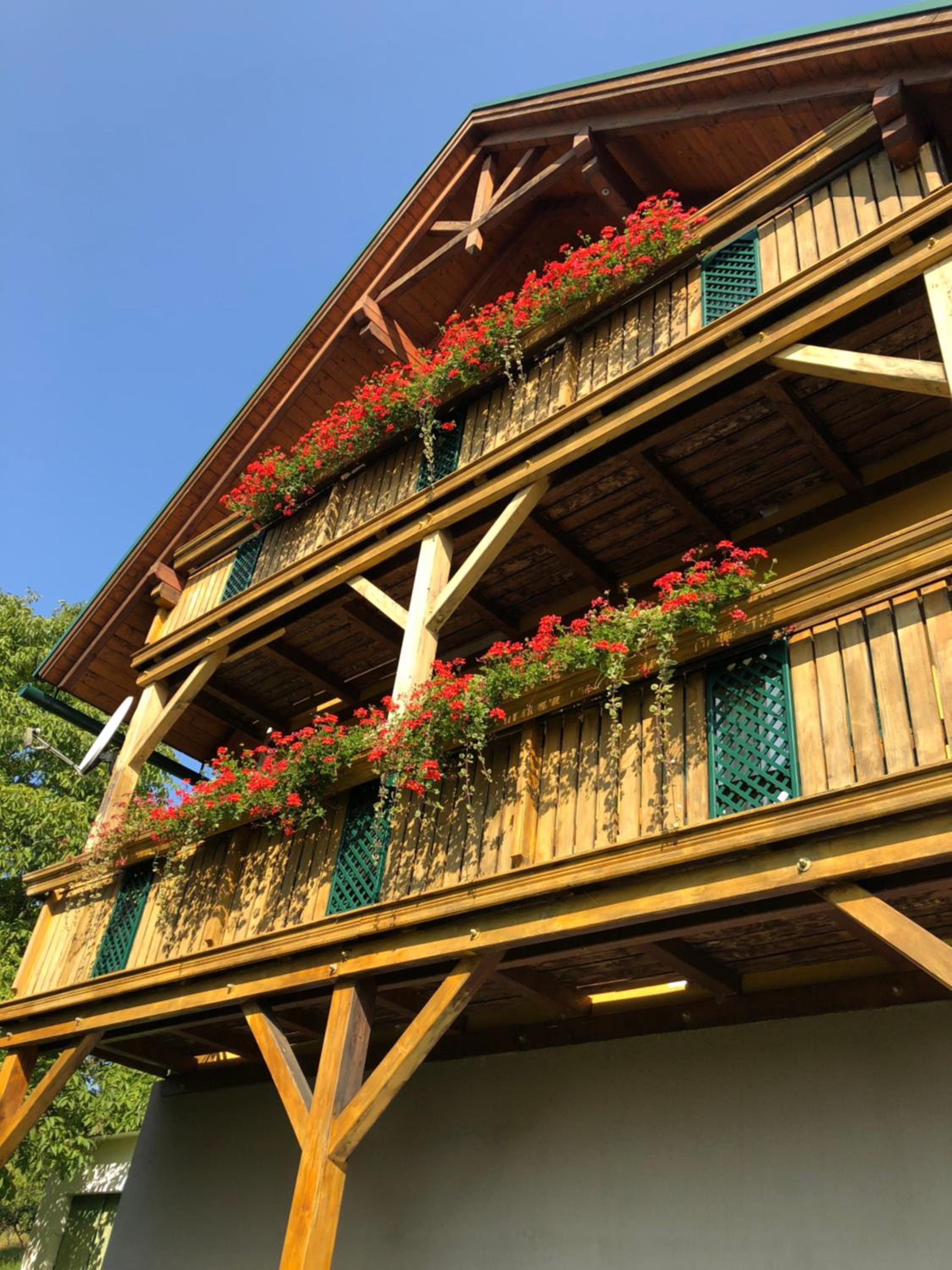 Weingut - Ferienhaus Sonja Rohrbacher view 2