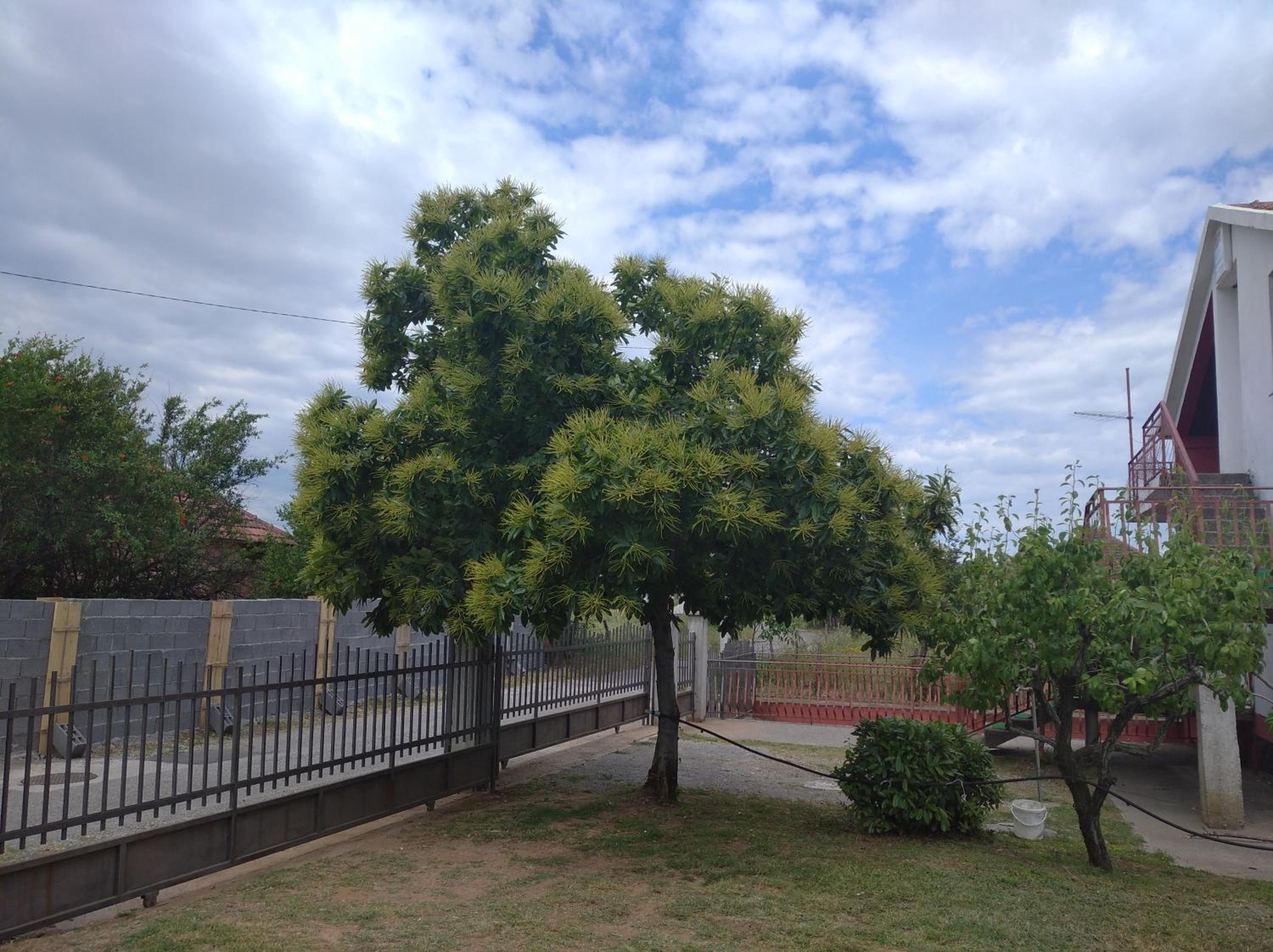Photo 24