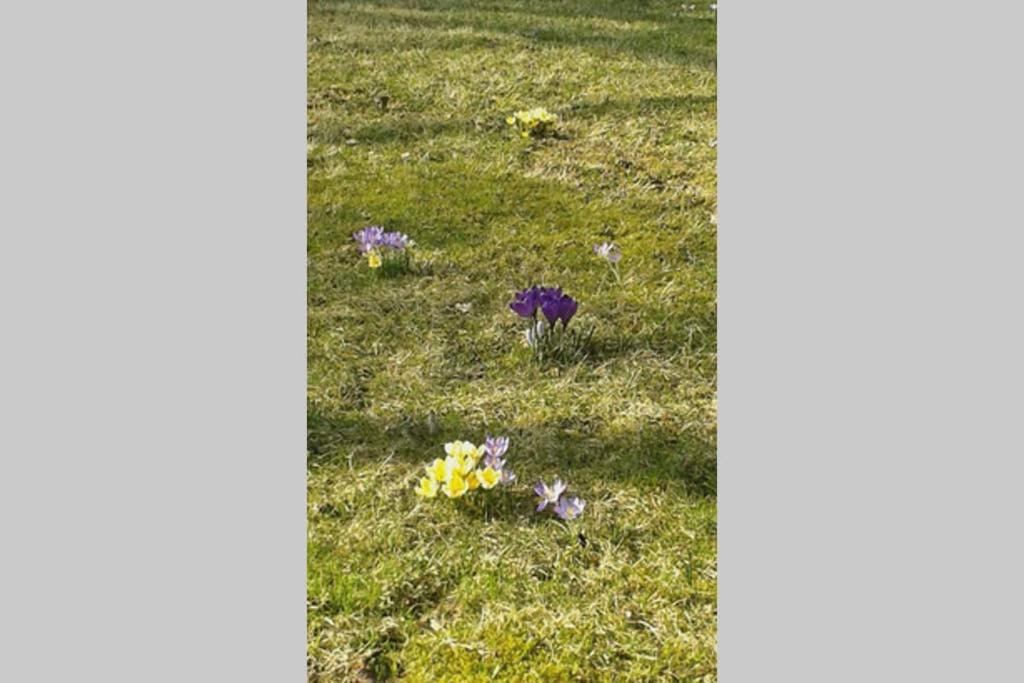 Photo 28