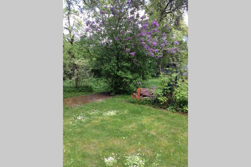 Photo 29