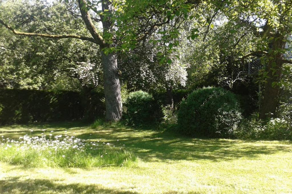 Photo 22