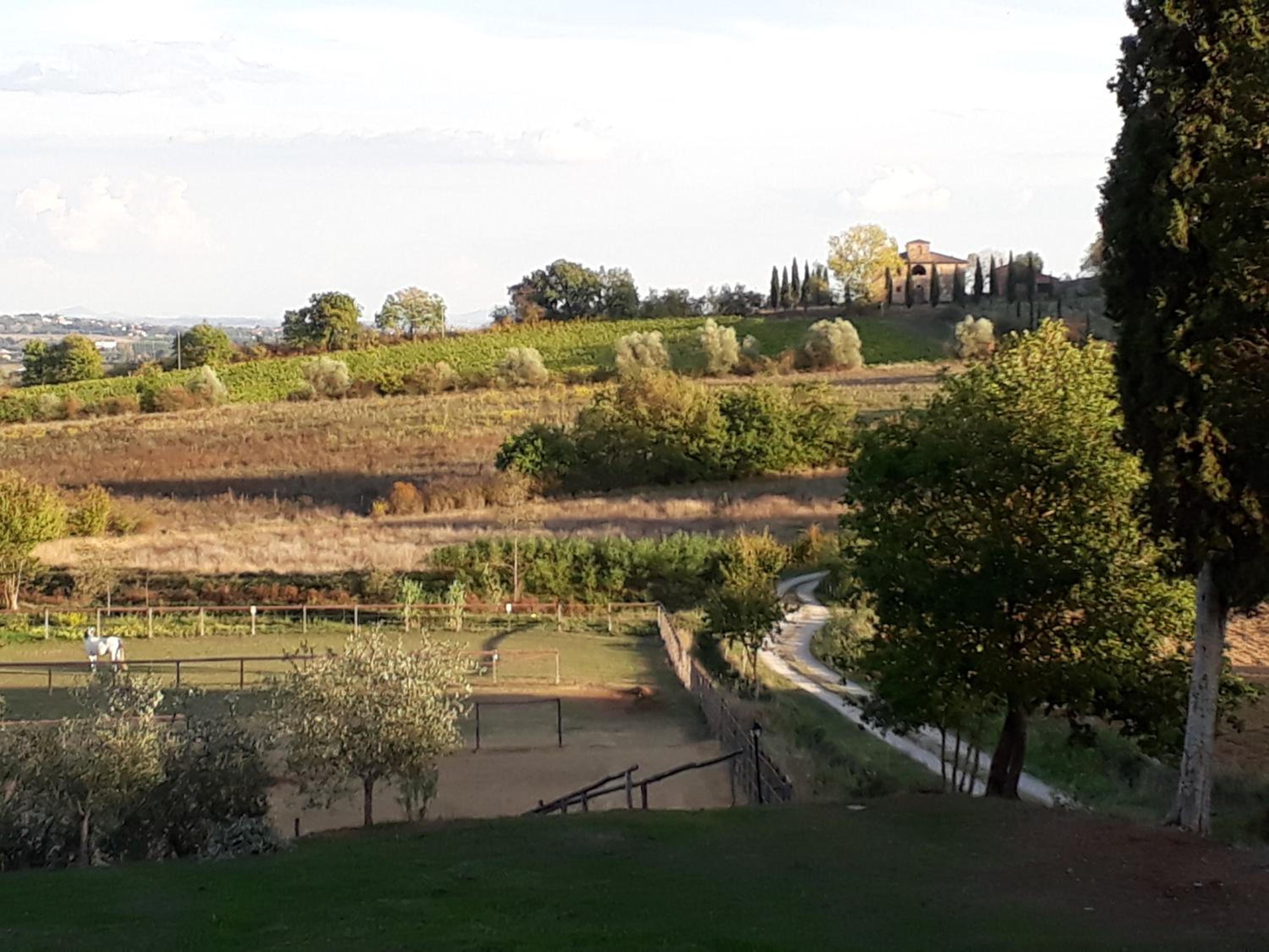 Podere Pievina Delle Corti - Dimora di Campagna