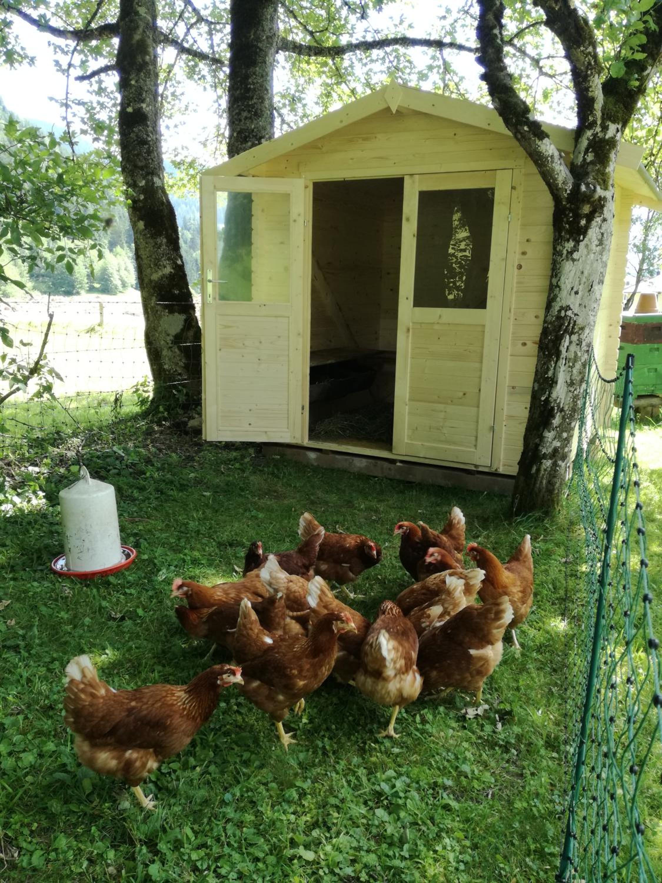 Bio Bauernhof Vorderoberlehen