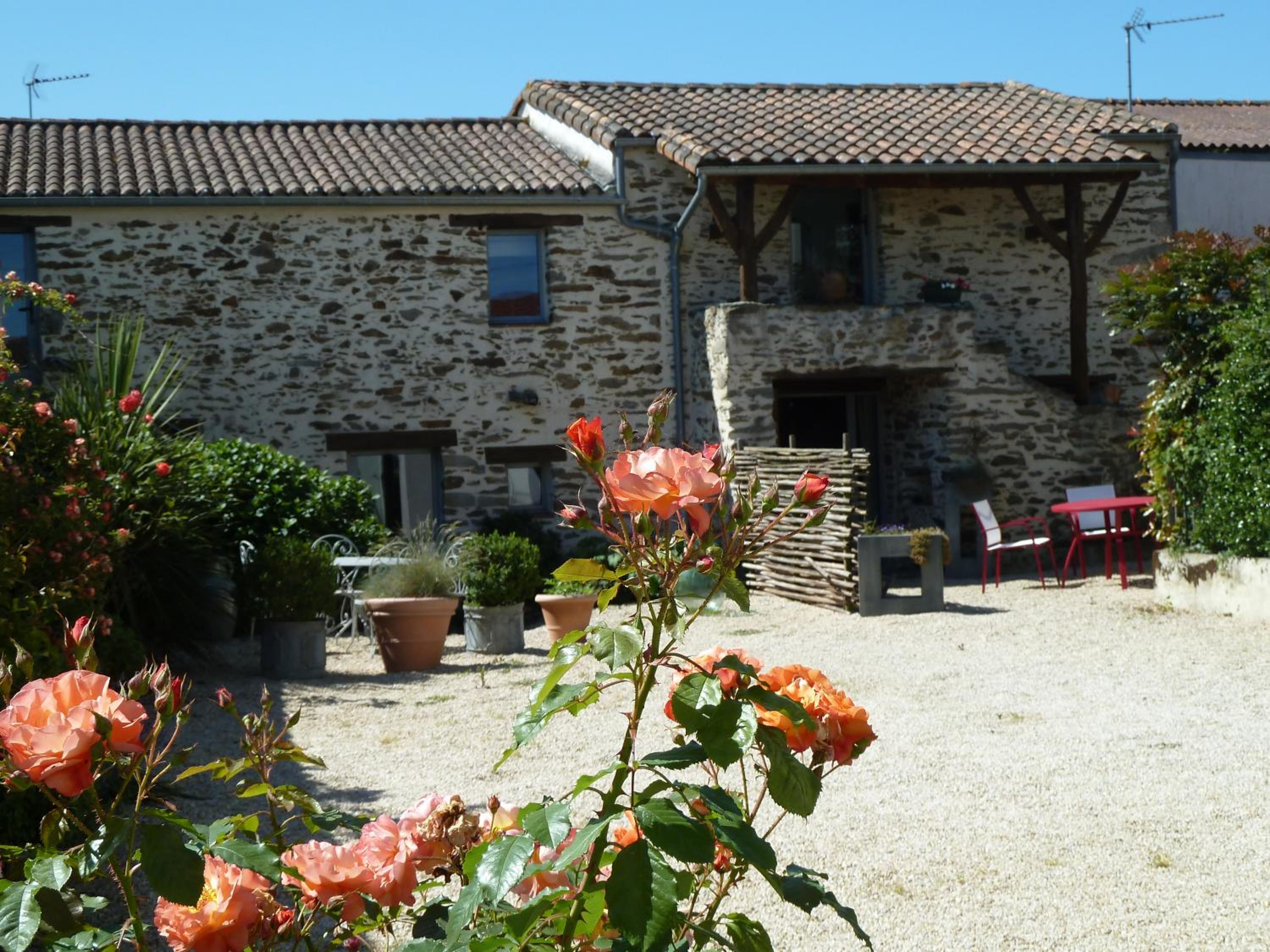 Fleur de Vigne view 2