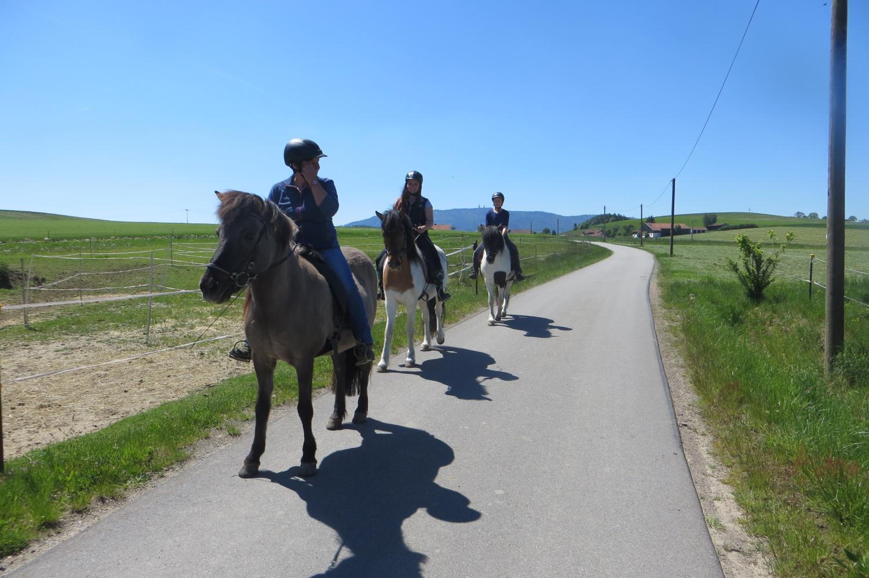 Ponyhof Adam Urlaub auf dem Bauernhof view 3