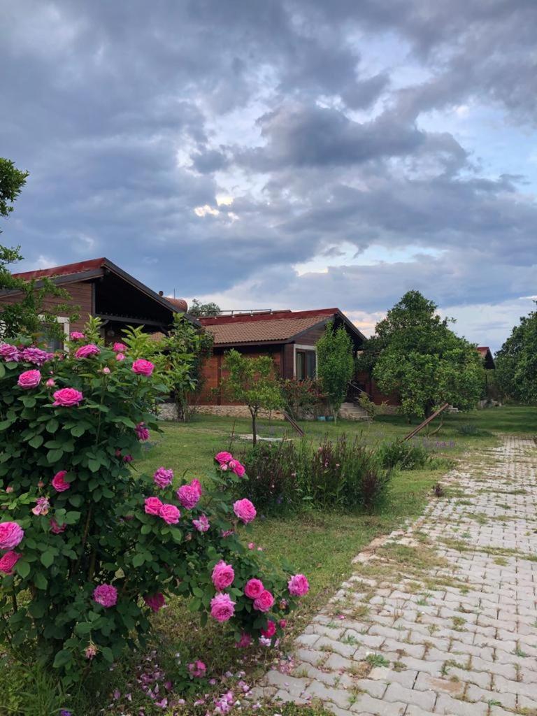 Villa Bilge