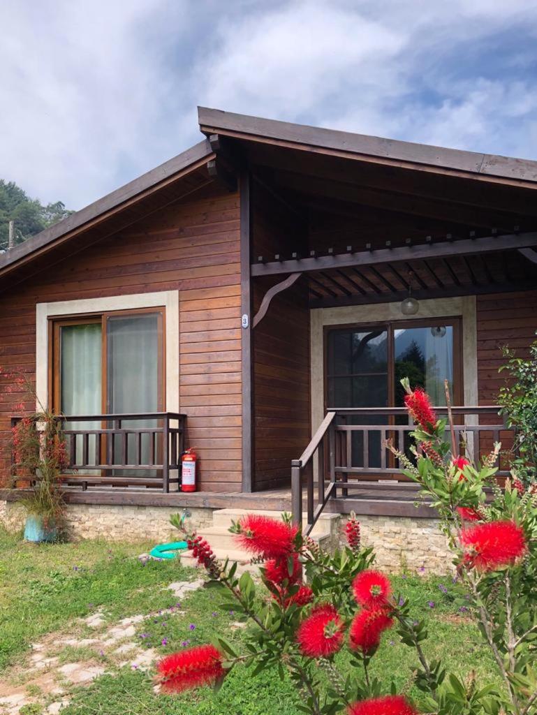 Villa Bilge