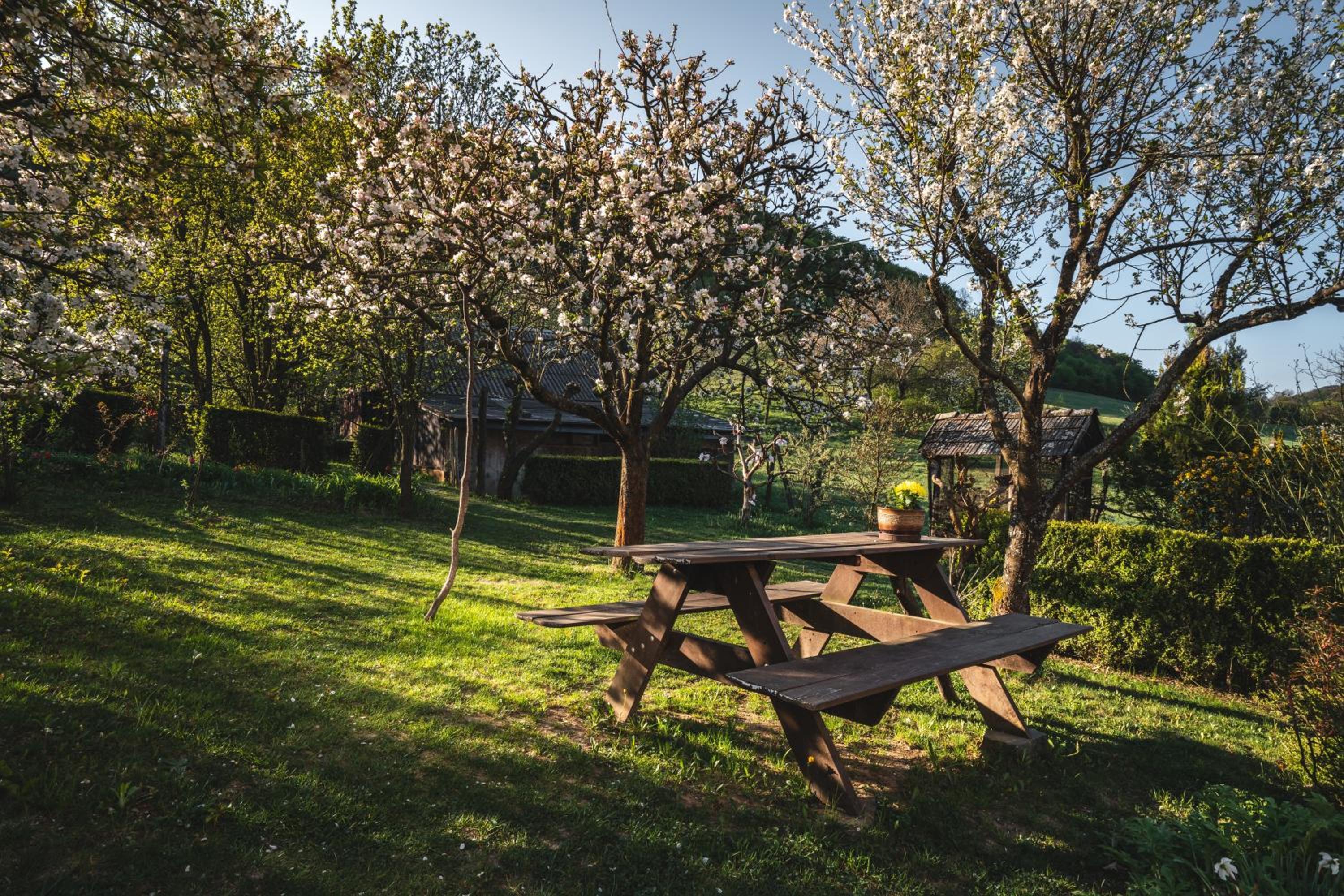 Privát Ľubica view 2