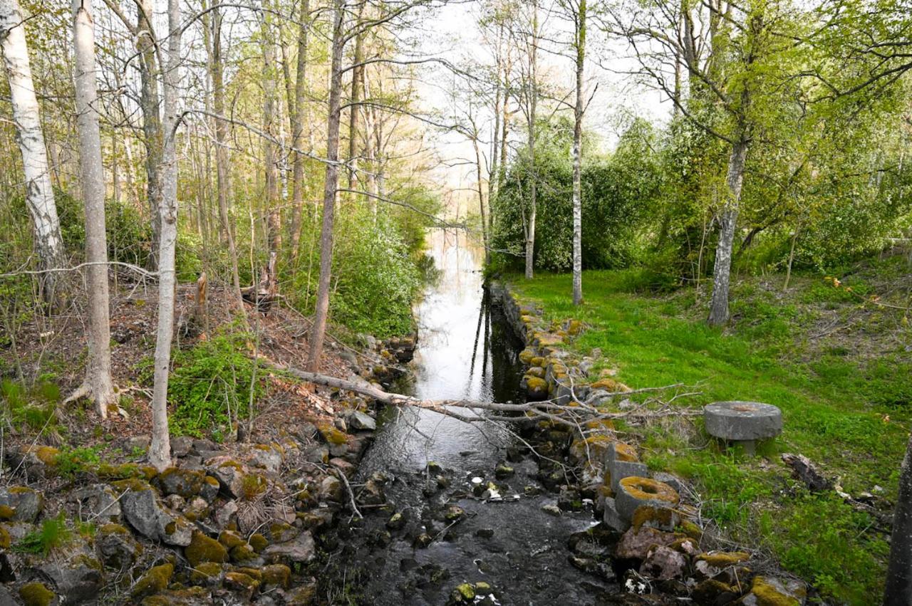 Photo 41