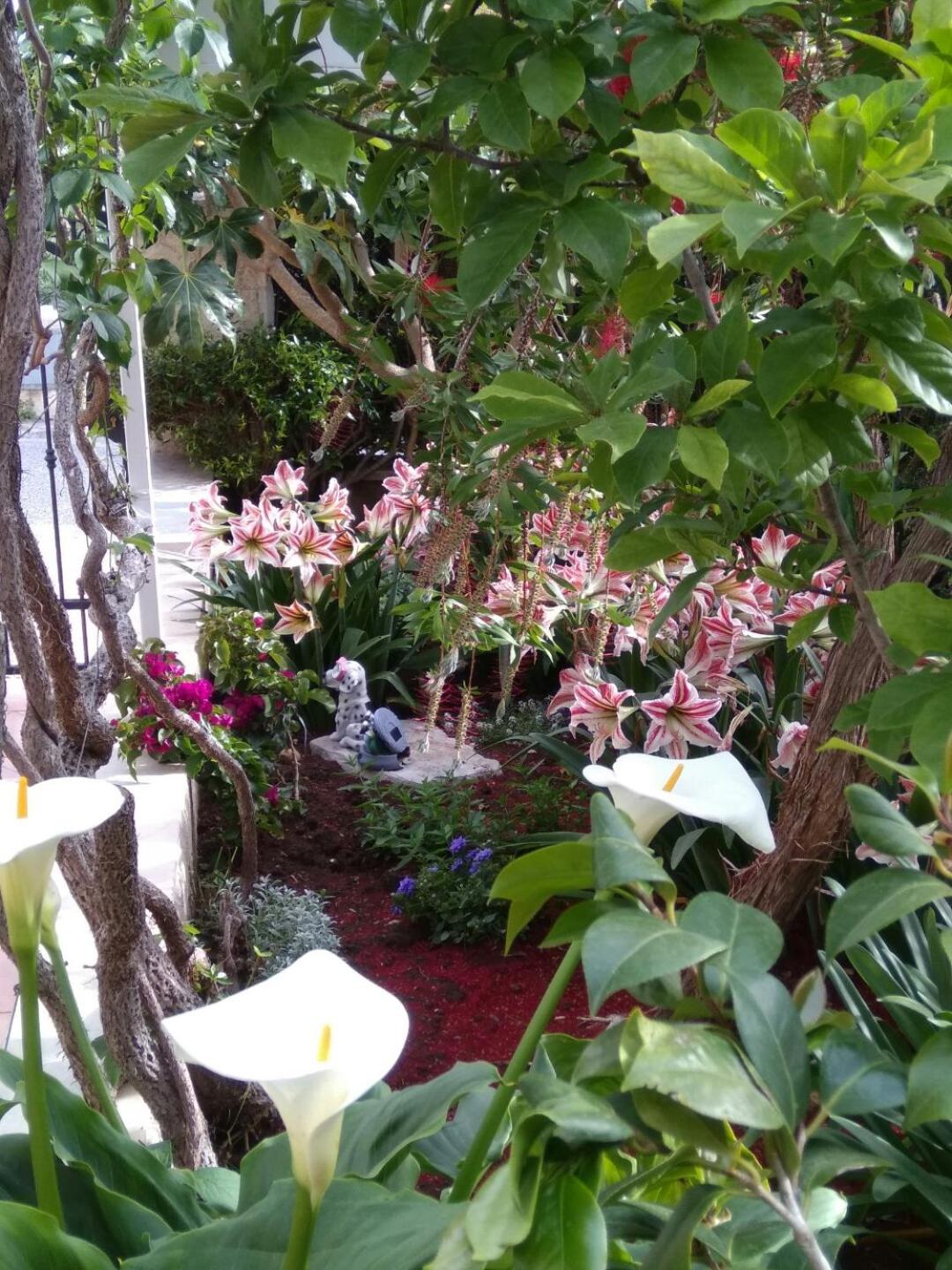 Photo 5