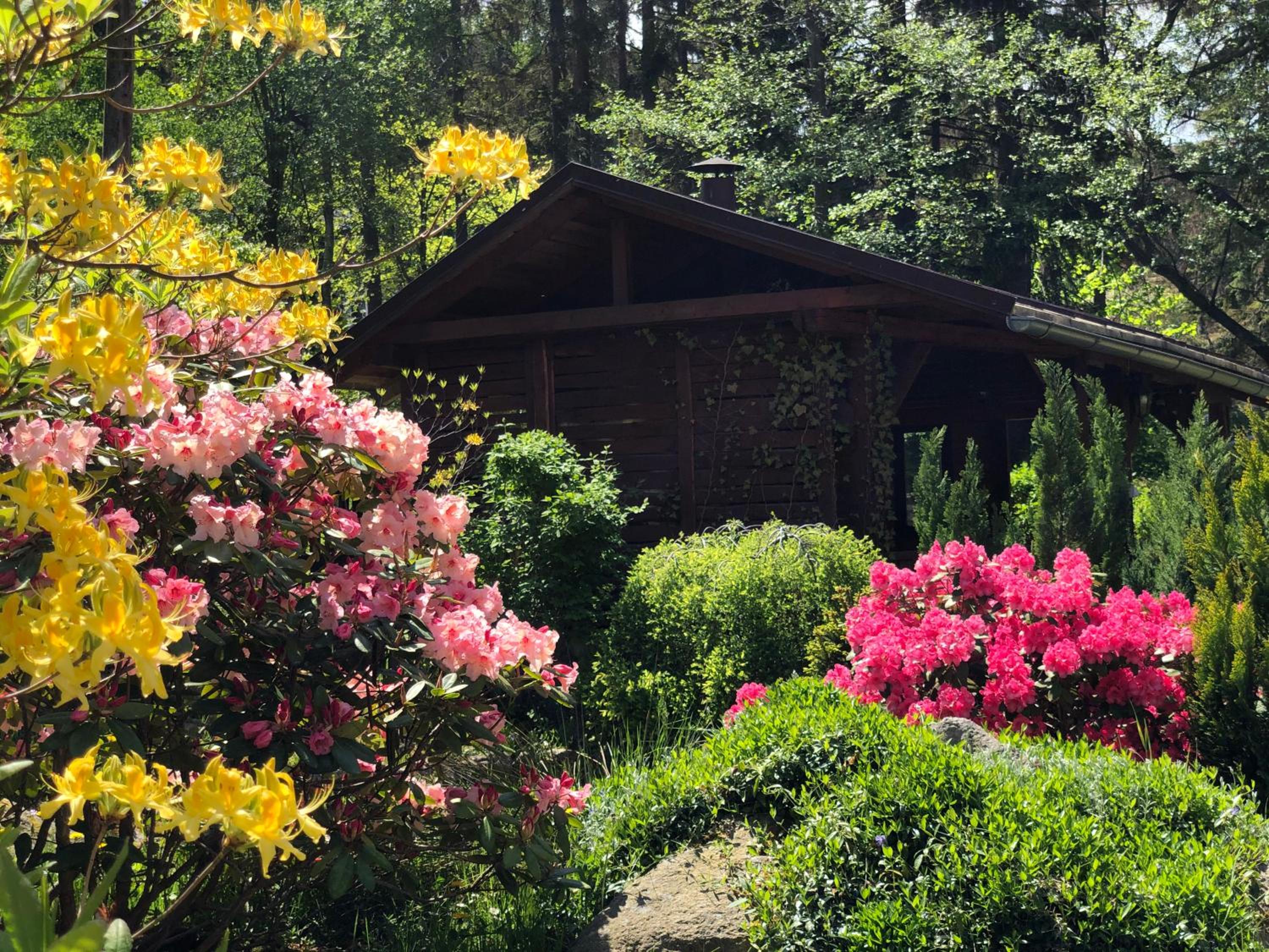 Photo 46