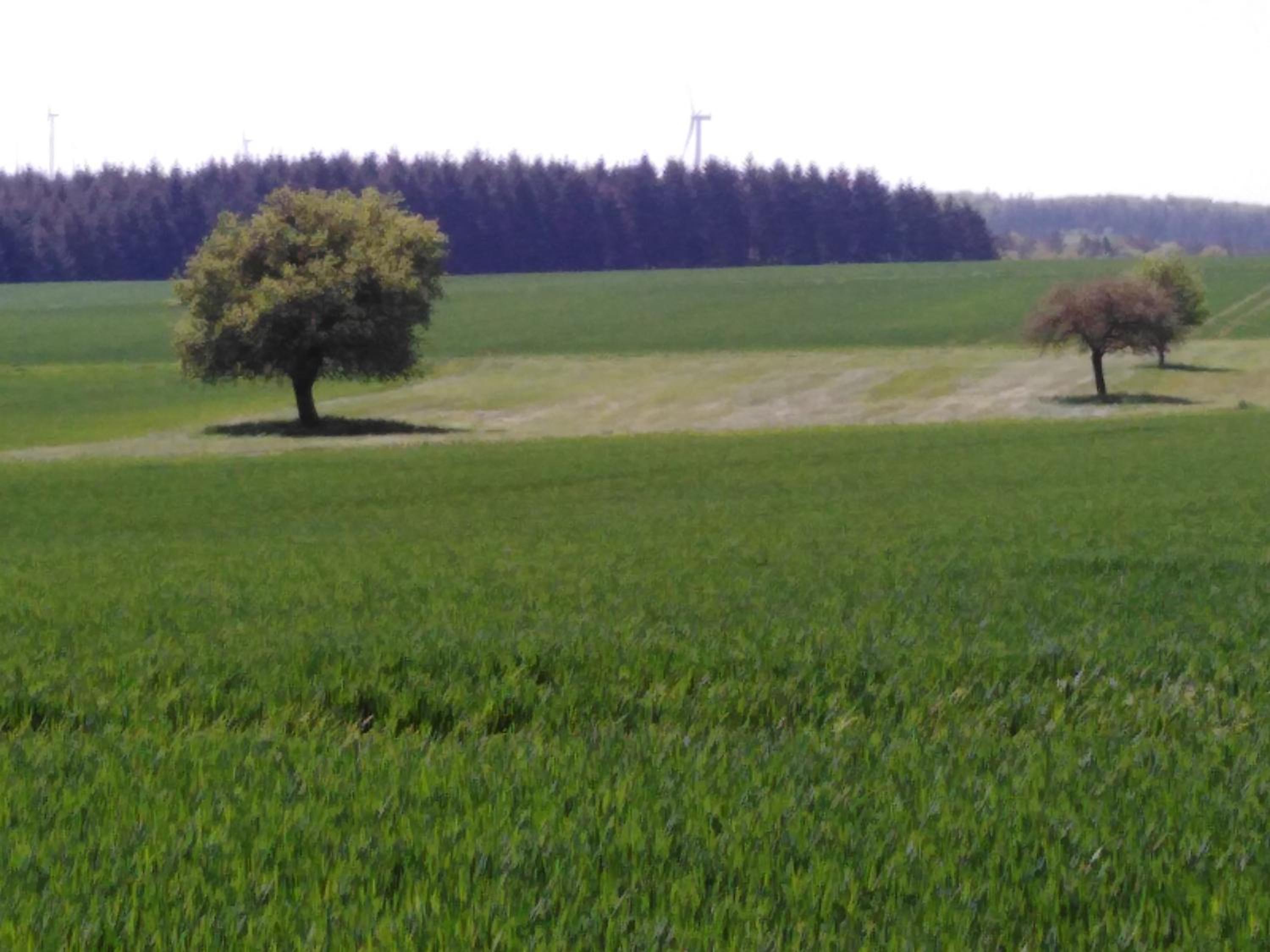 Ferienhaus Cilla