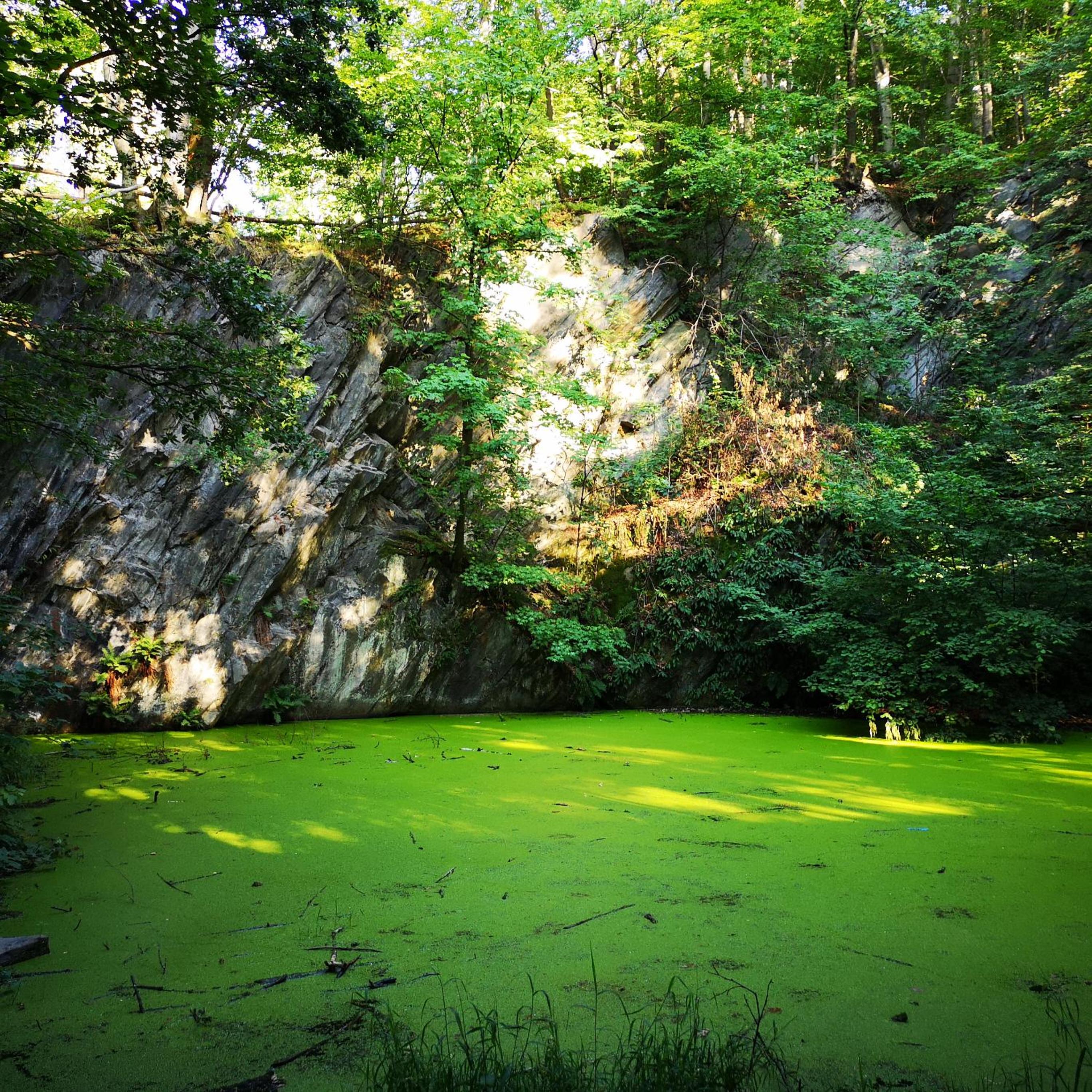 Ośrodek Natura