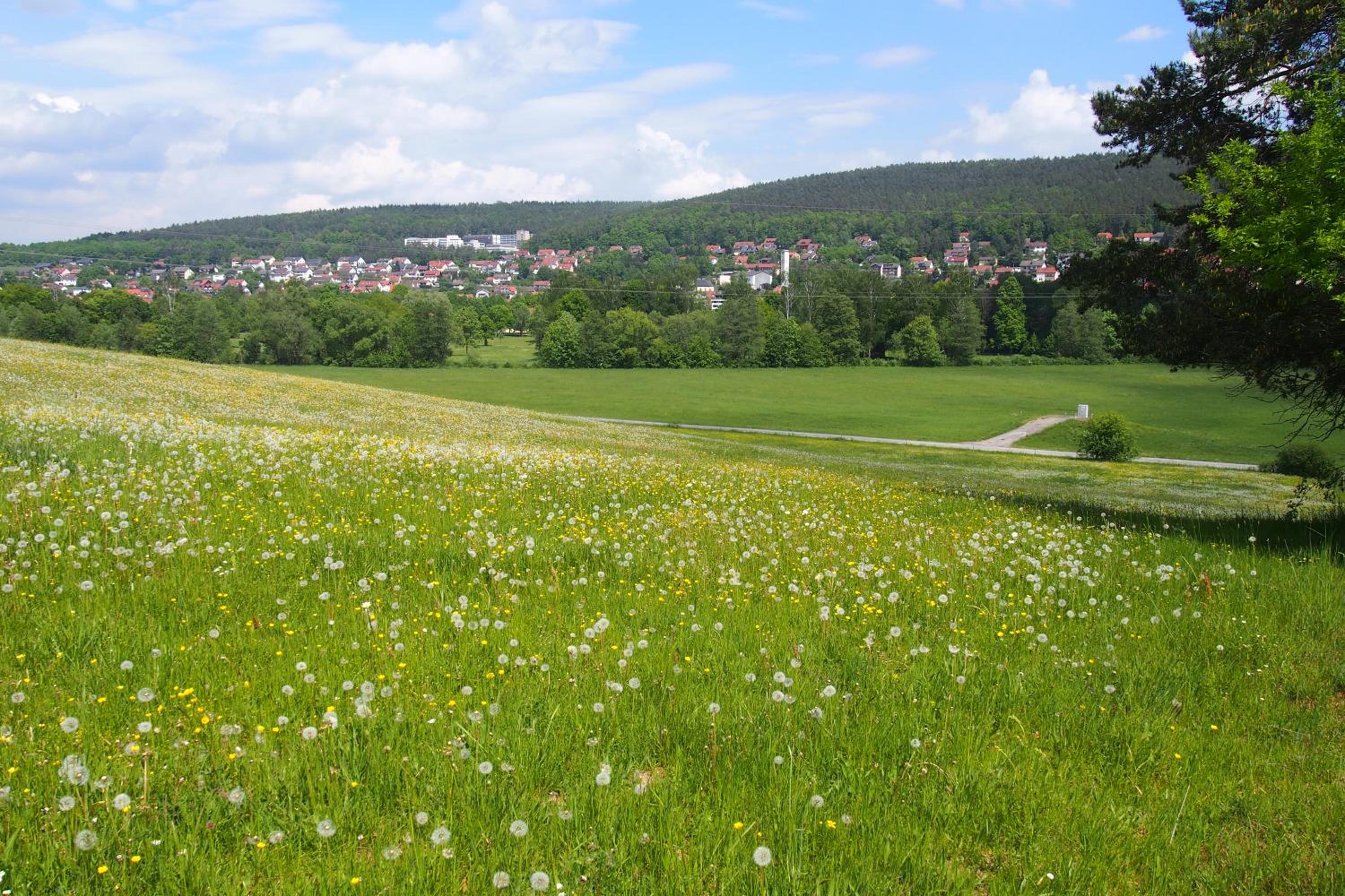 Haus Sonneneck view 3