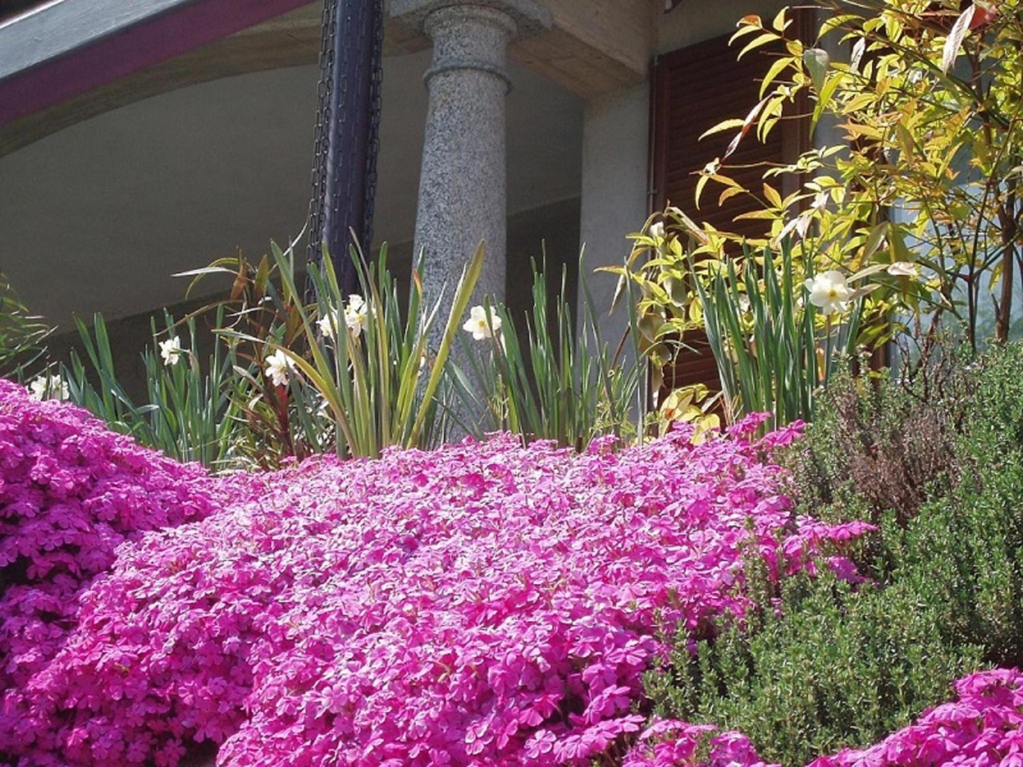 Alla Camelia B&B