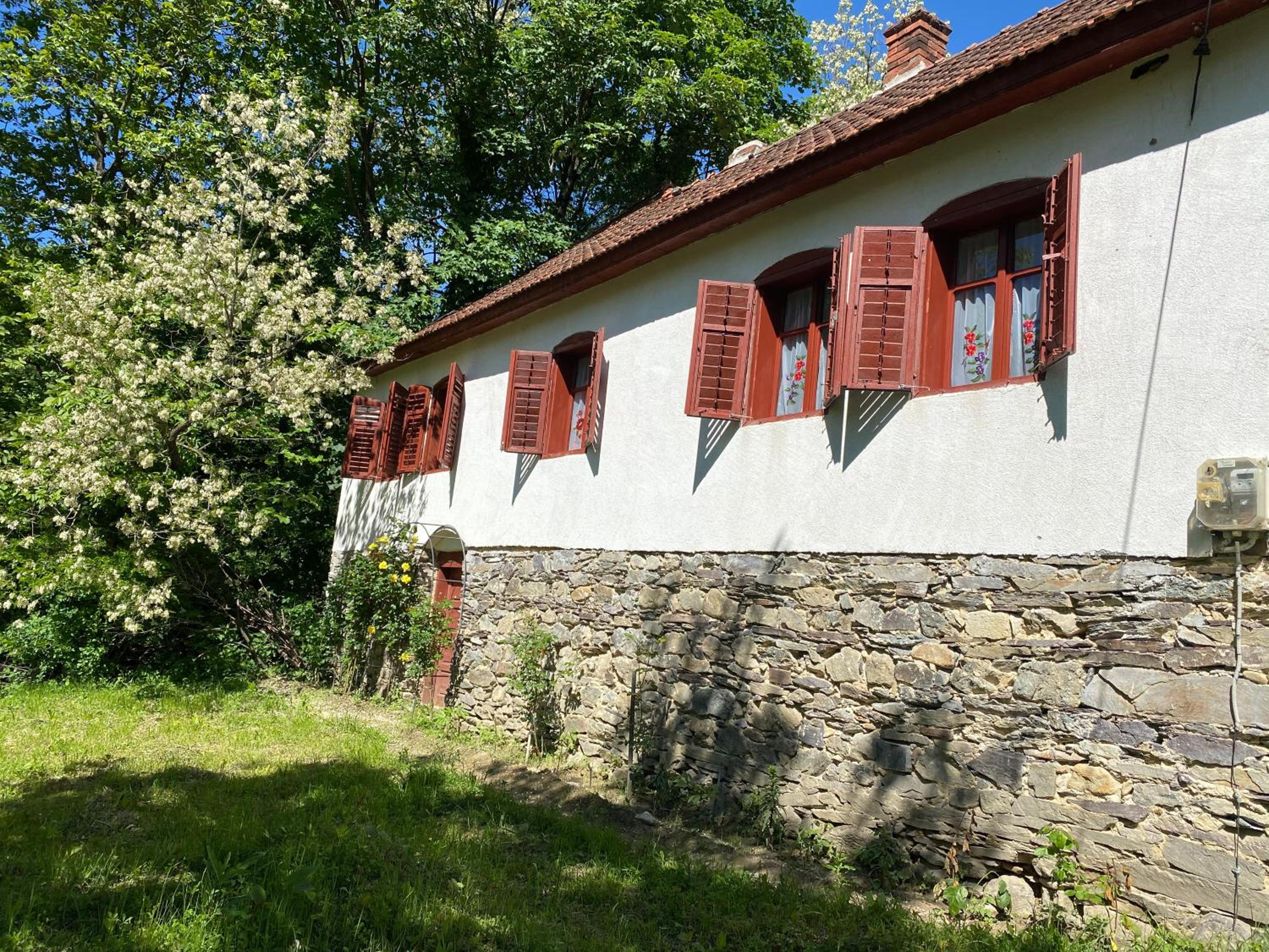 Photo 48