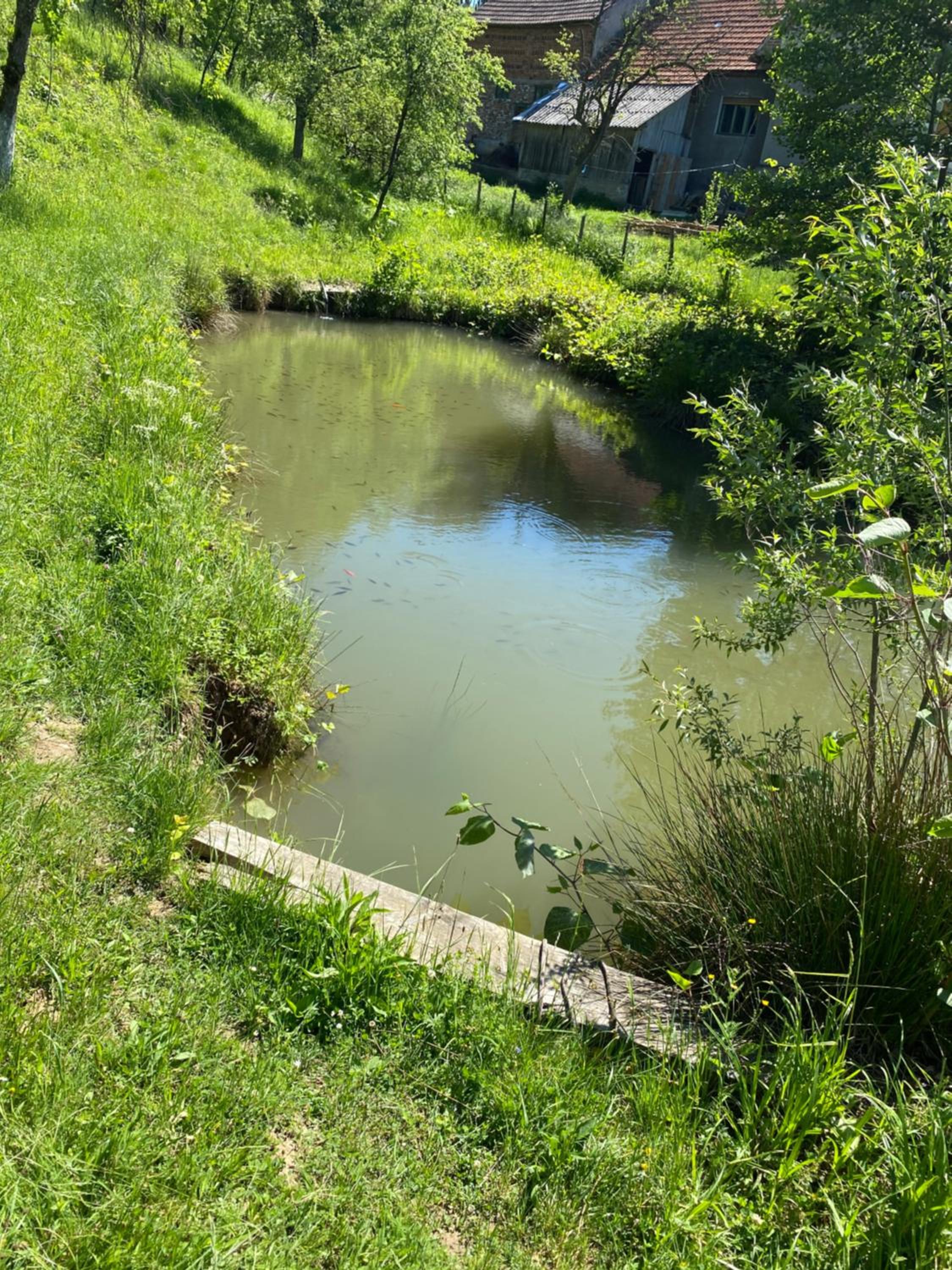 Photo 49