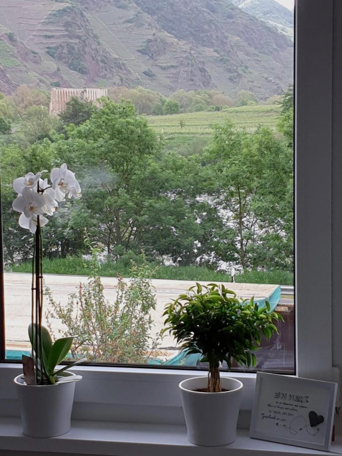 Ferienhaus Calmont view 3
